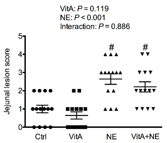 Effects of Vitamin A on Immune Responses and Vitamin A Metabolism 