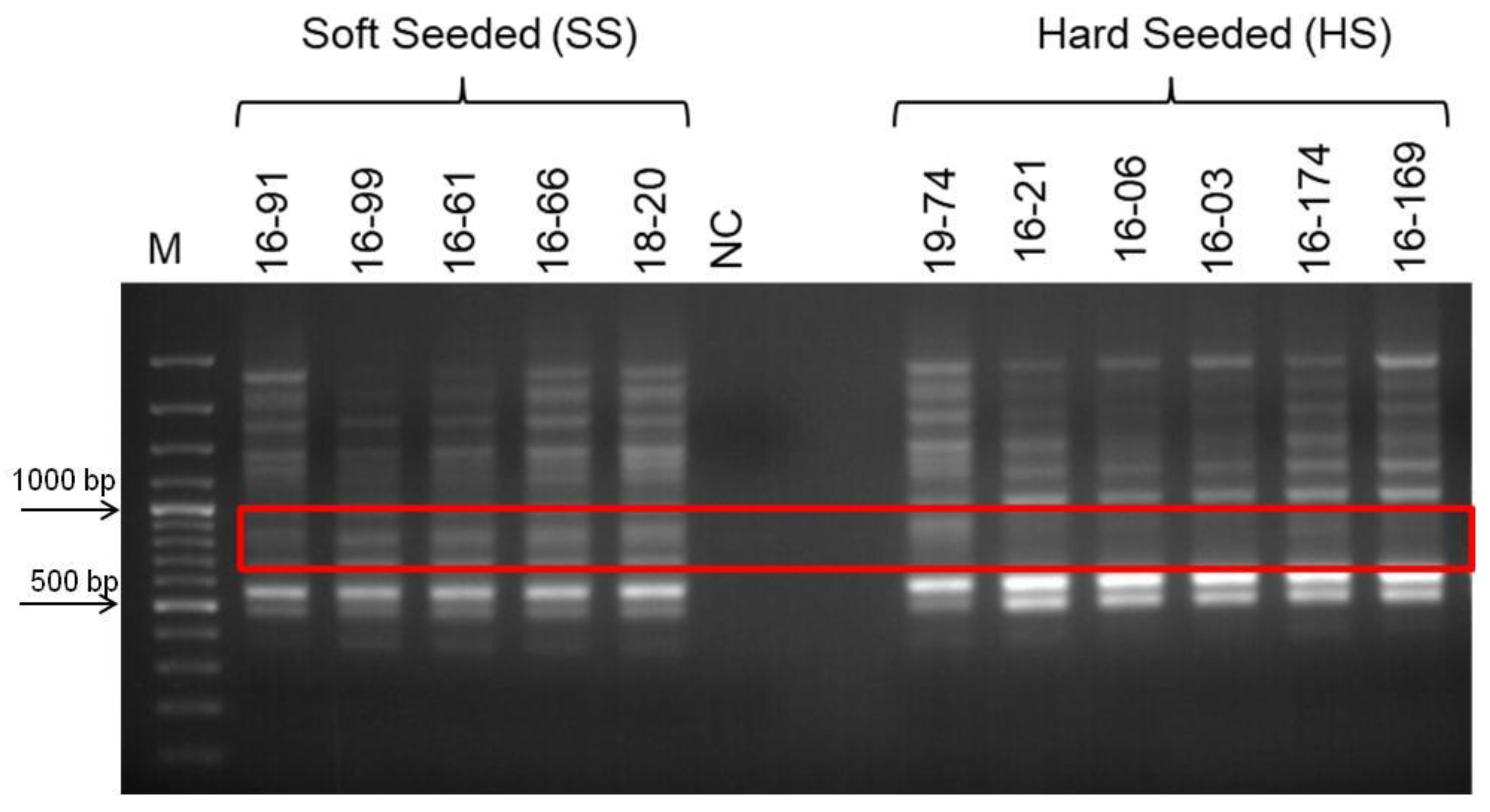 Life 13 01123 g002 Life 13 01123 g002
