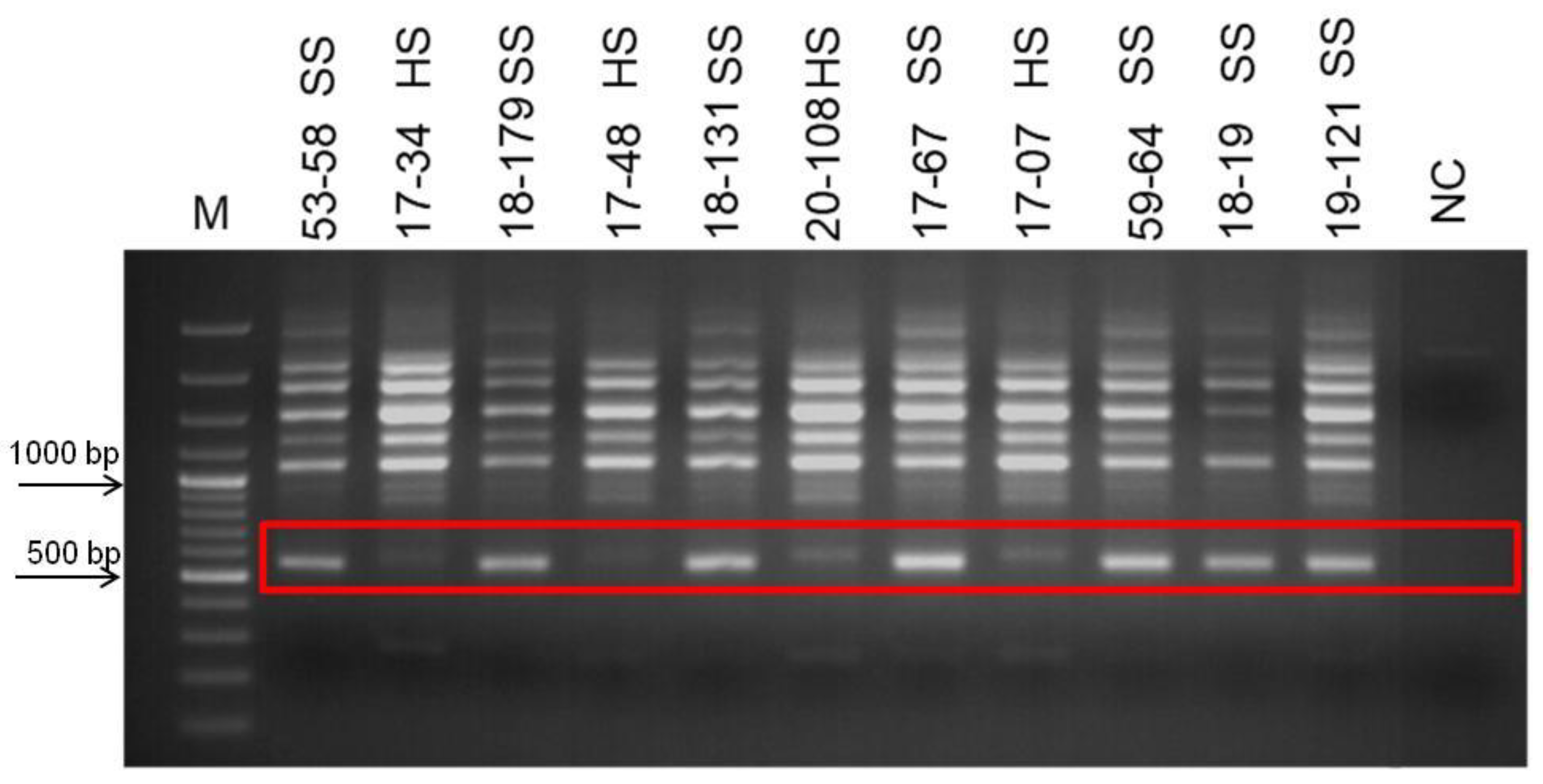 Life 13 01123 g003 Life 13 01123 g003