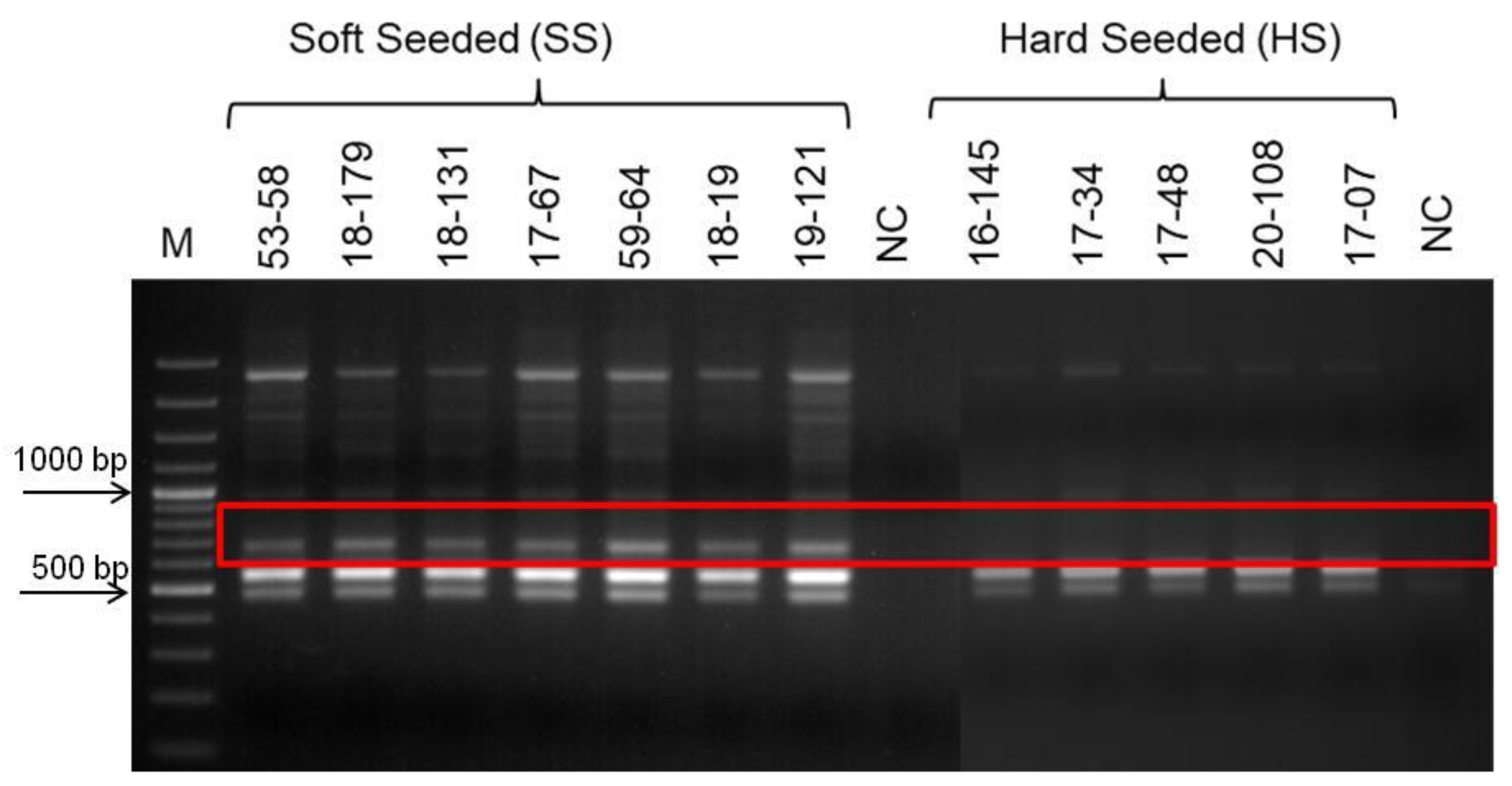 Life 13 01123 g004 Life 13 01123 g004