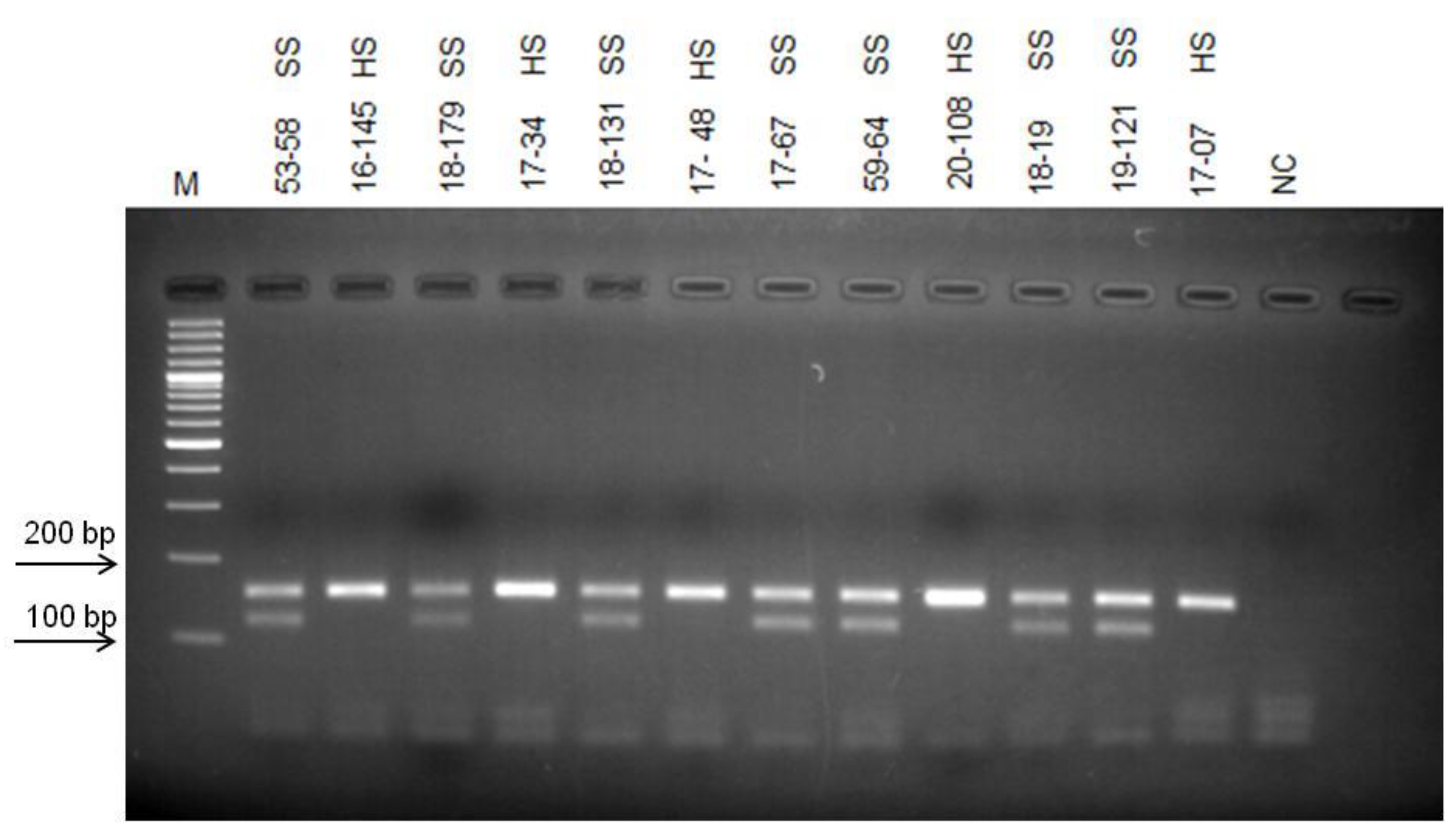 Life 13 01123 g007 Life 13 01123 g007