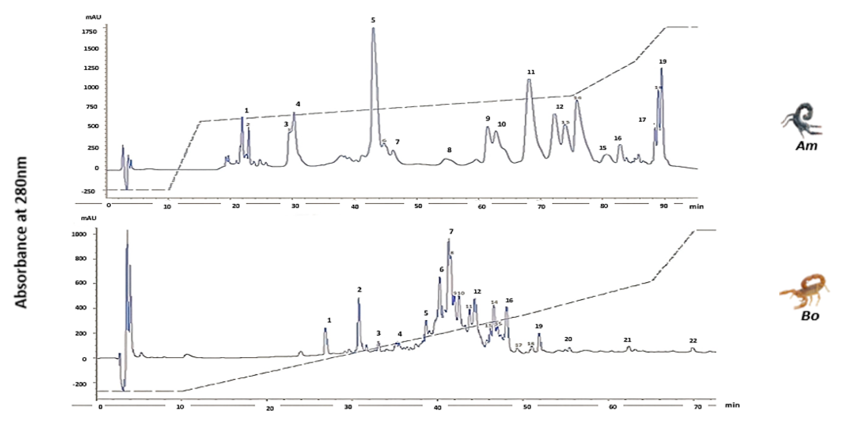 Life 13 01133 g002 Life 13 01133 g002