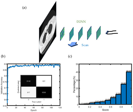 ピクセル Pulmonary Nodule Detection and Classification Using All-Optical