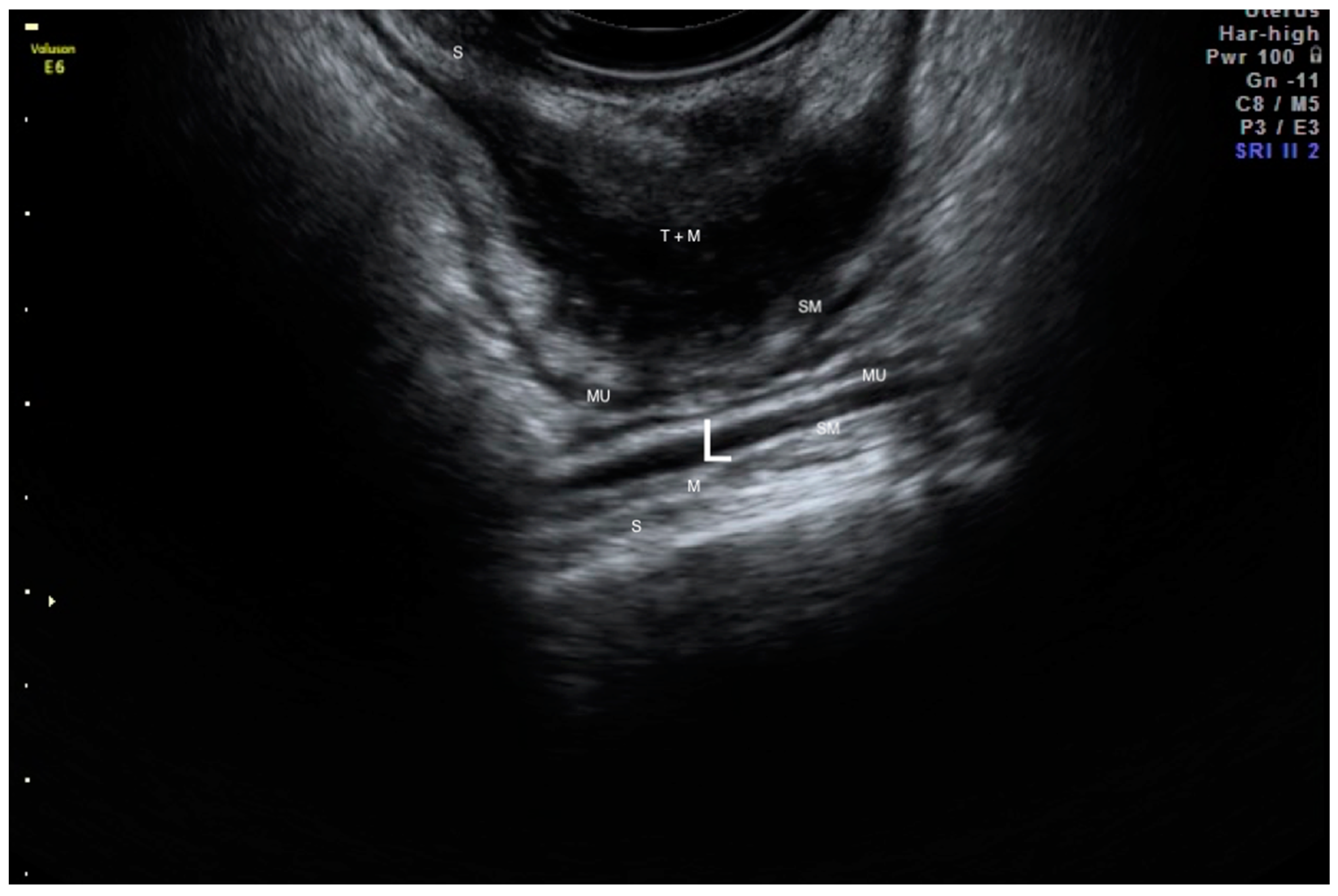 Life 13 01151 g004 Life 13 01151 g004