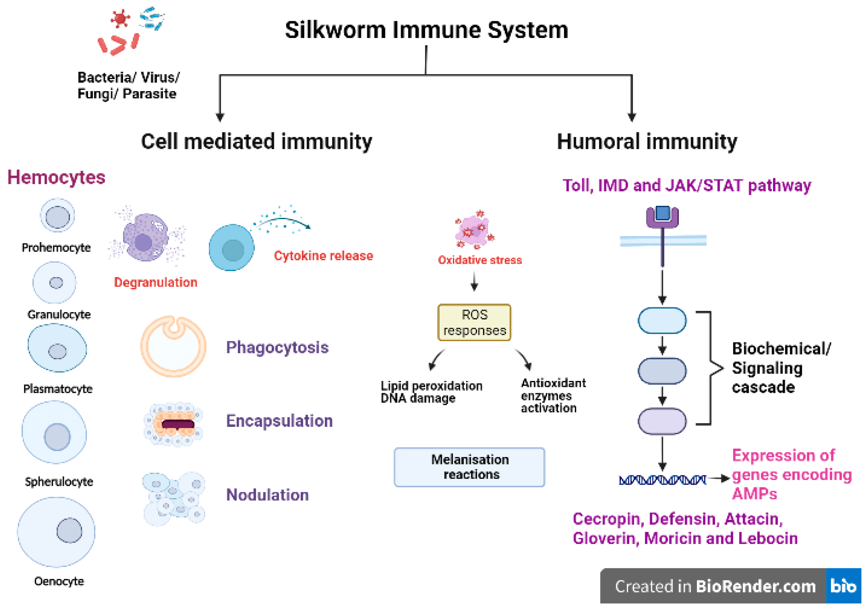 Life 13 01161 g002 Life 13 01161 g002