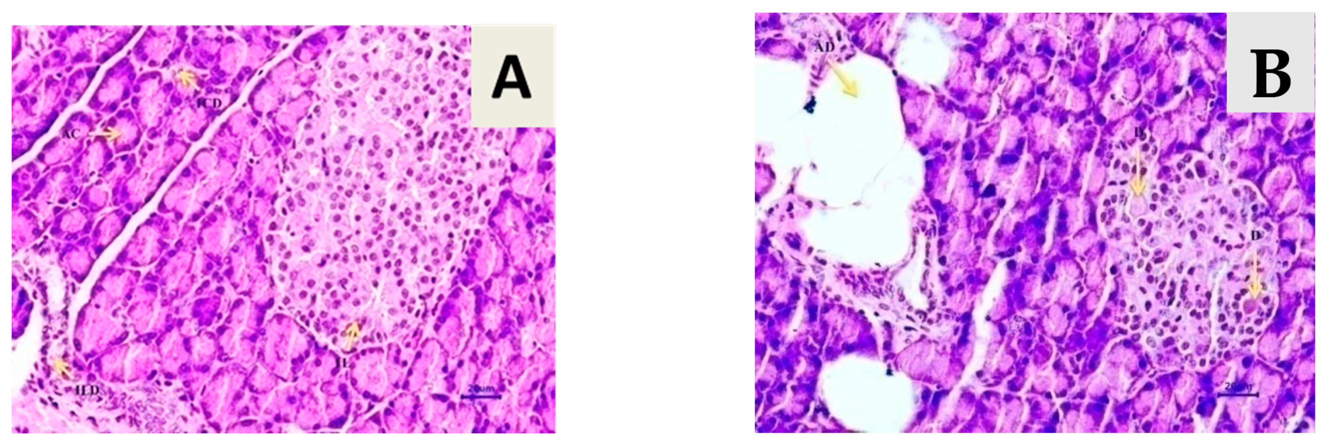 Life 13 01168 g011a Life 13 01168 g011a