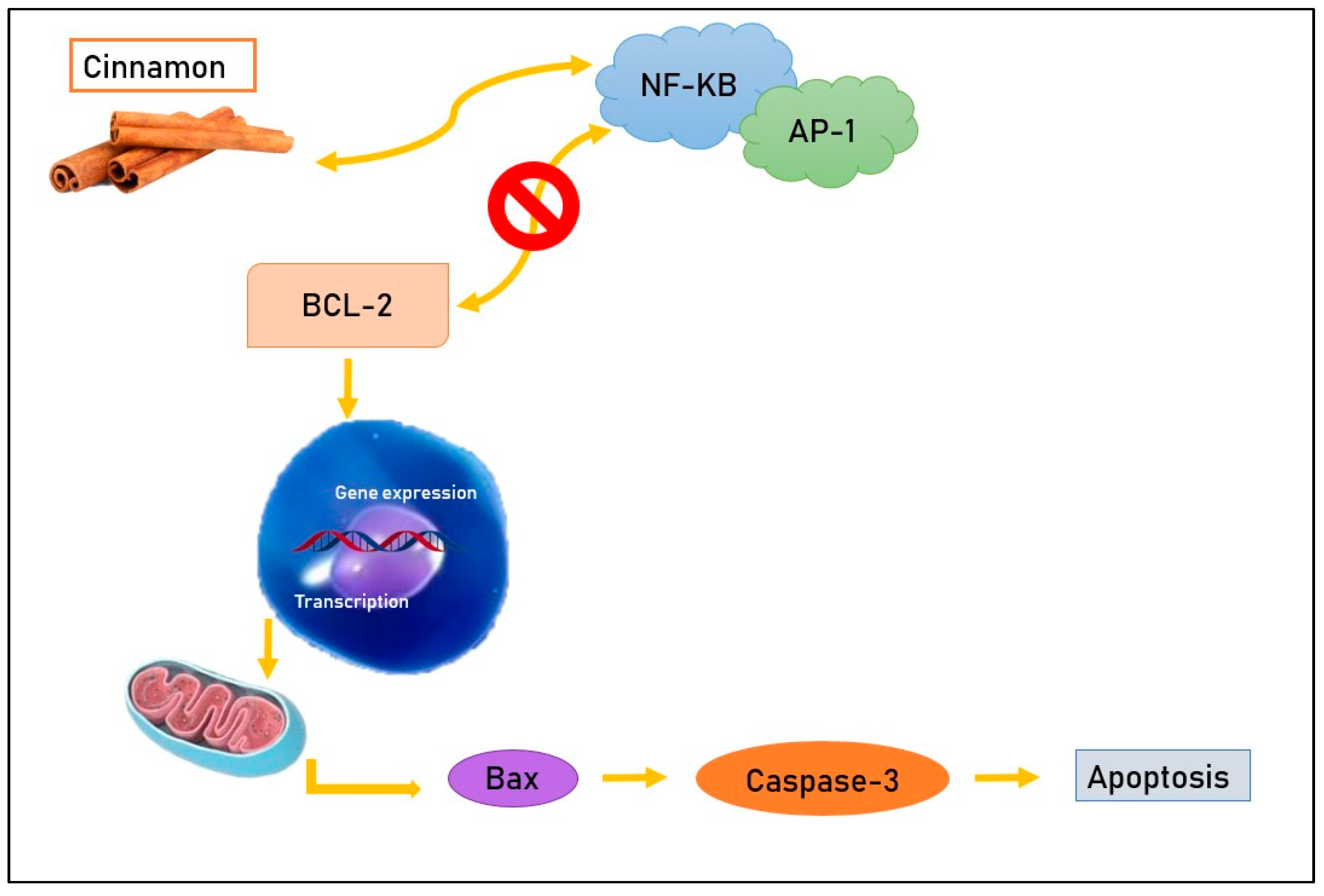 Life 13 01176 g001 Life 13 01176 g001
