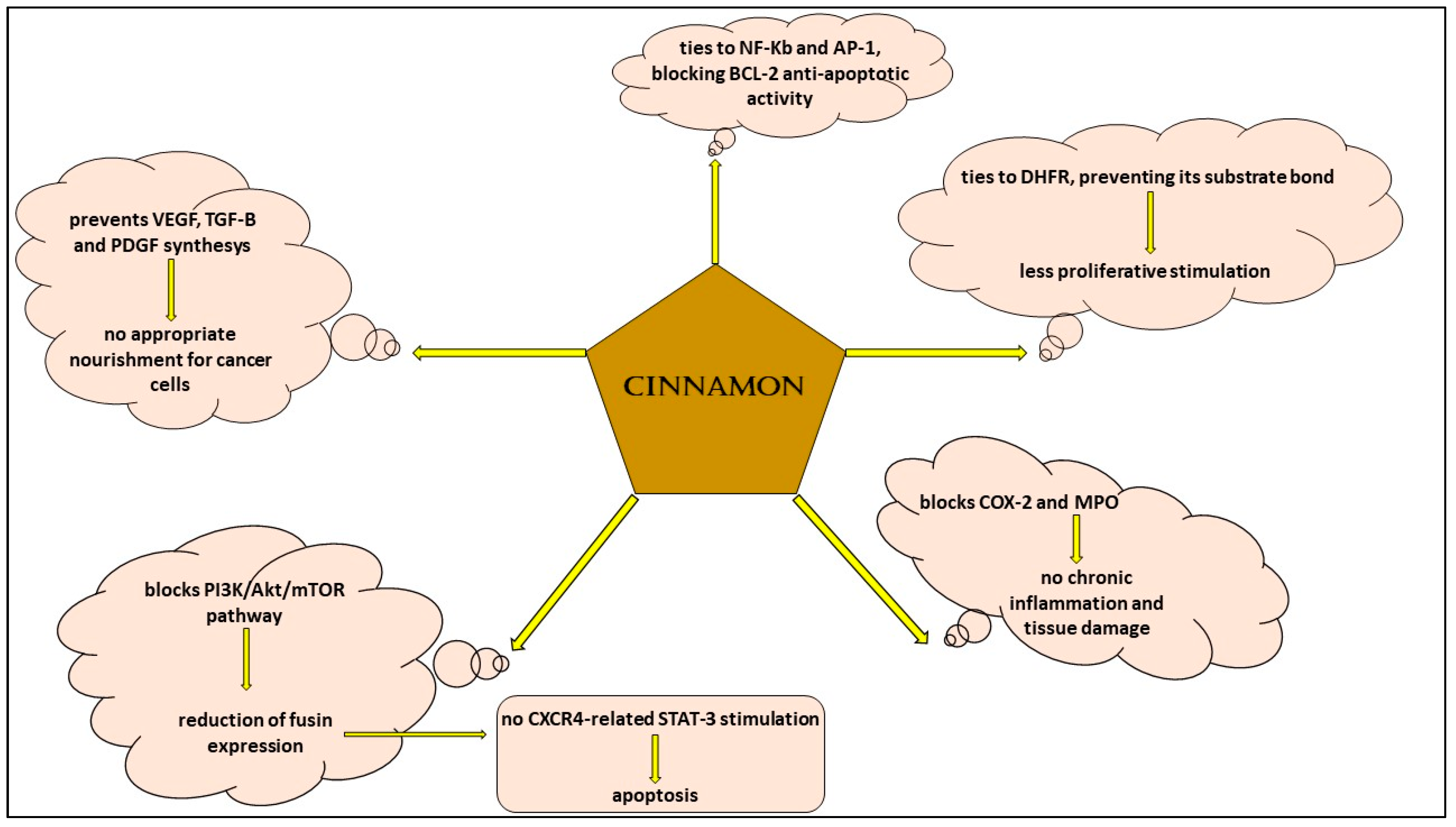 Life 13 01176 g003 Life 13 01176 g003