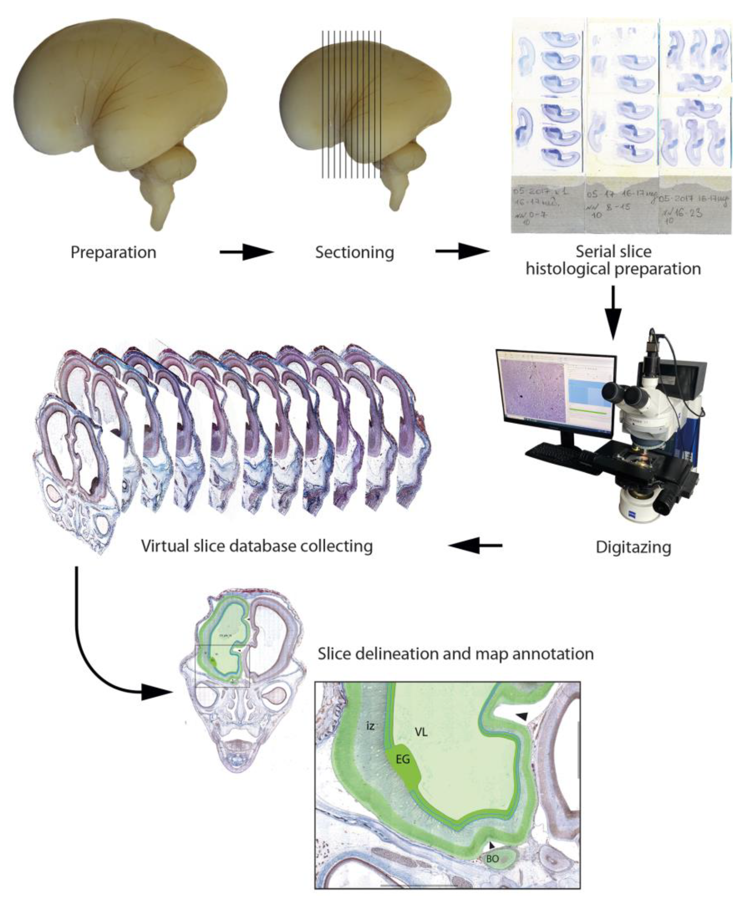 Life 13 01182 g001 Life 13 01182 g001