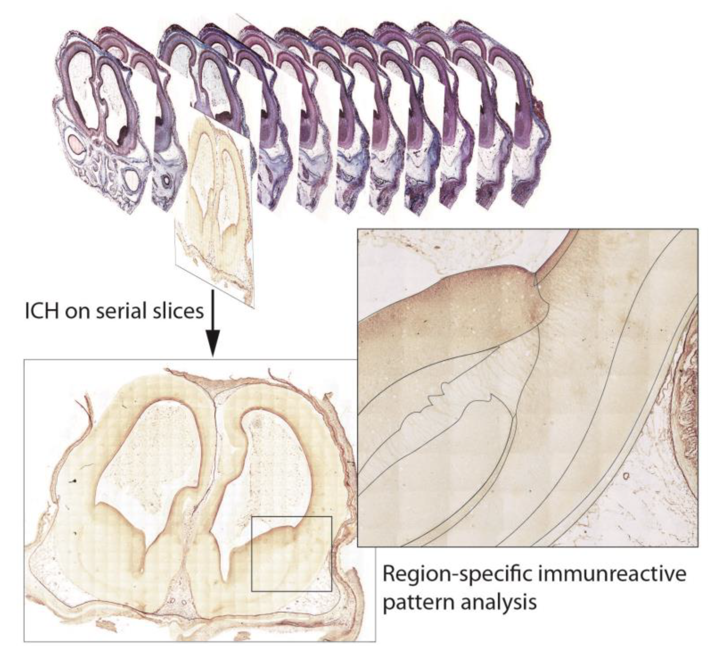 Life 13 01182 g002 Life 13 01182 g002