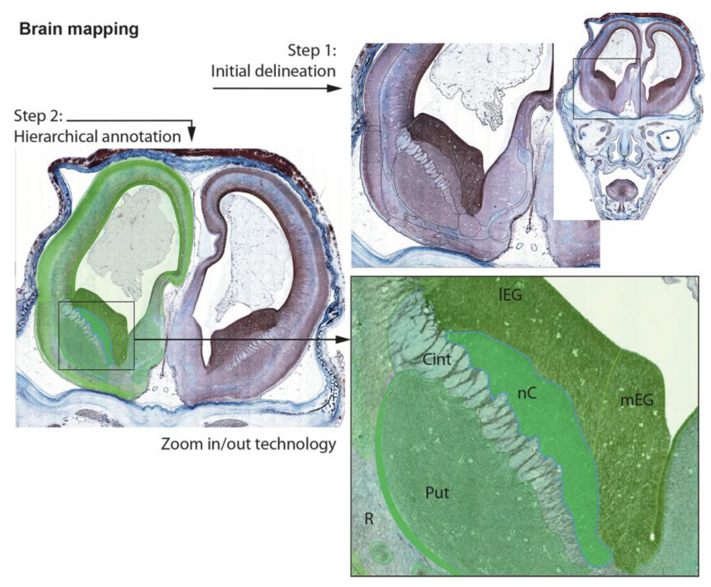Life 13 01182 g003 Life 13 01182 g003
