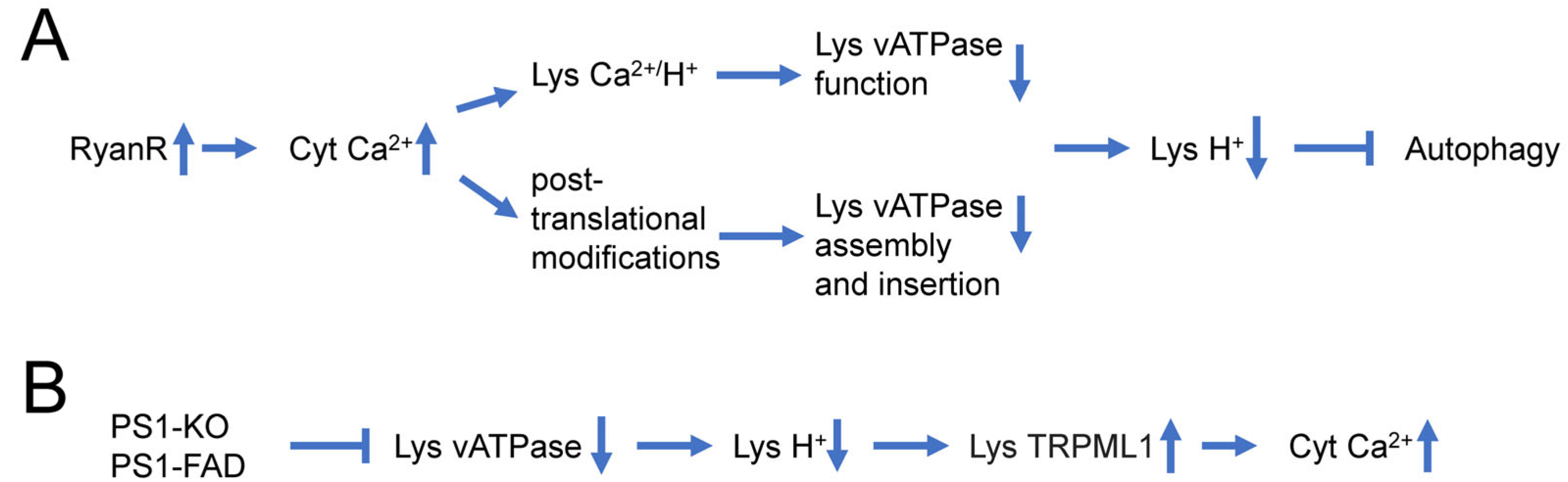 Life 13 01187 g001 Life 13 01187 g001