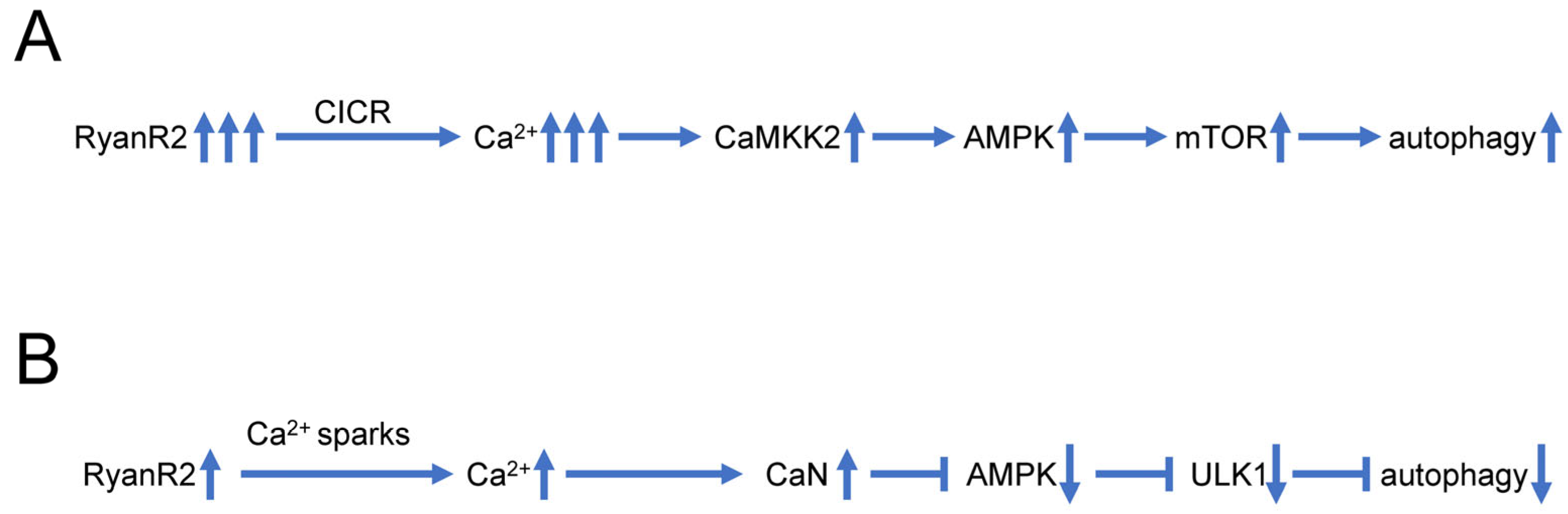Life 13 01187 g002 Life 13 01187 g002