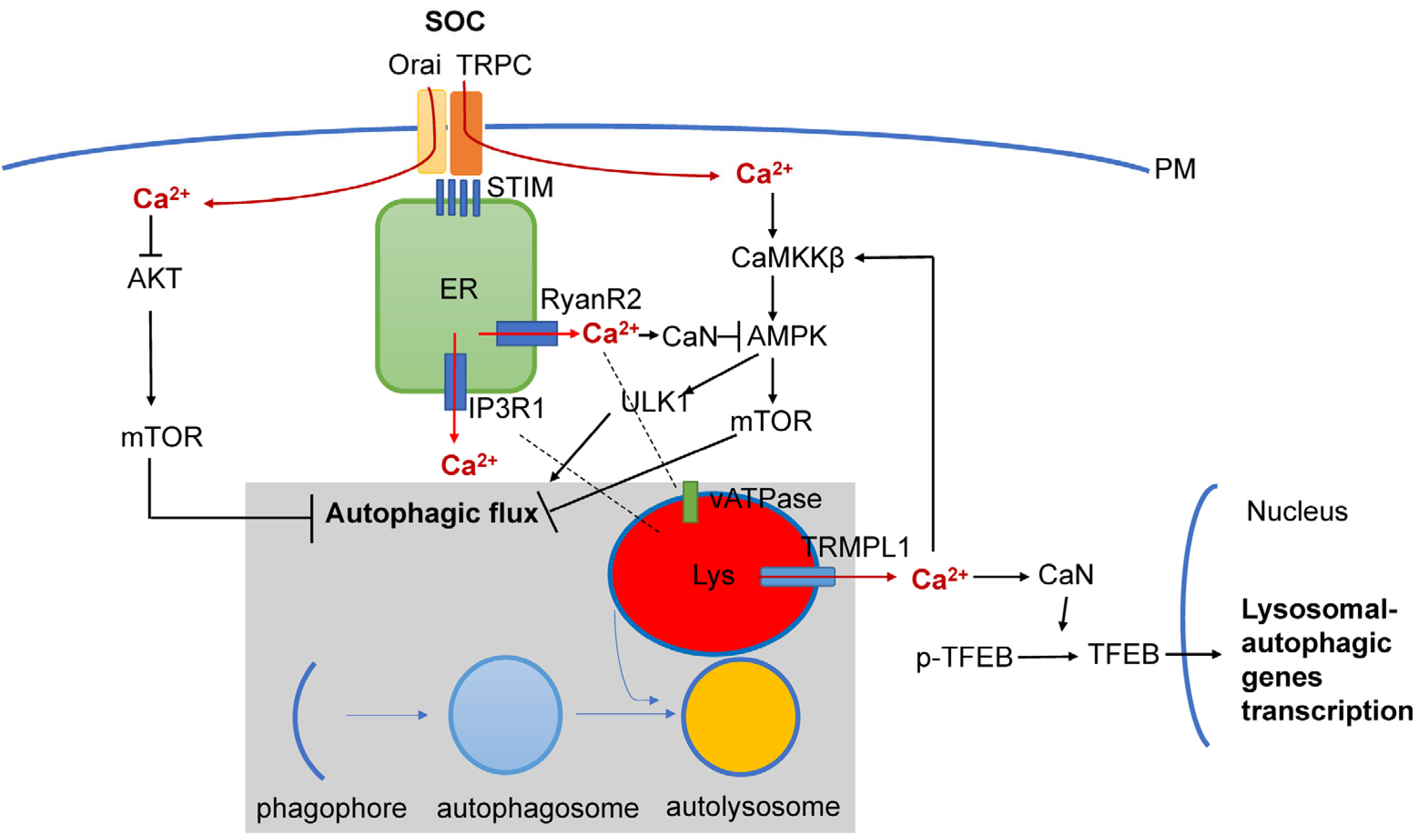 Life 13 01187 g003 Life 13 01187 g003