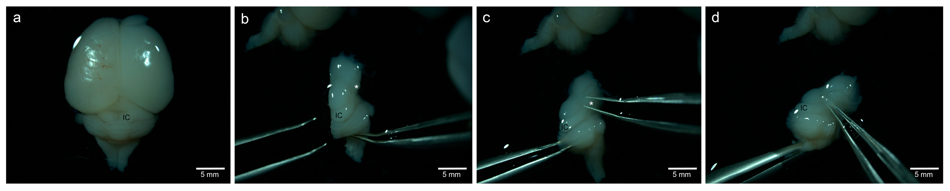 Life 13 01188 g001 Life 13 01188 g001