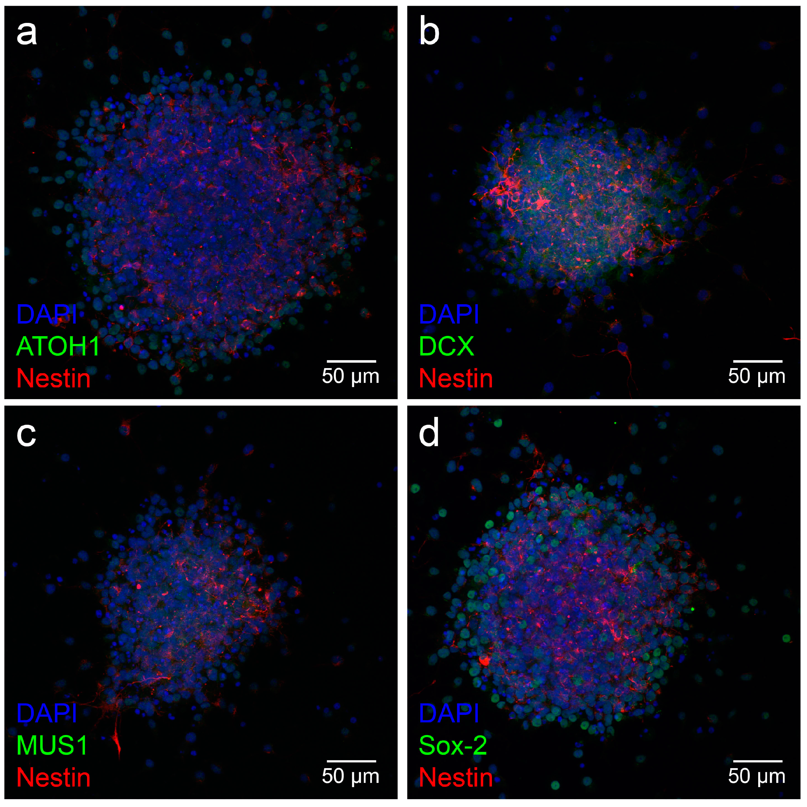Life 13 01188 g004 Life 13 01188 g004