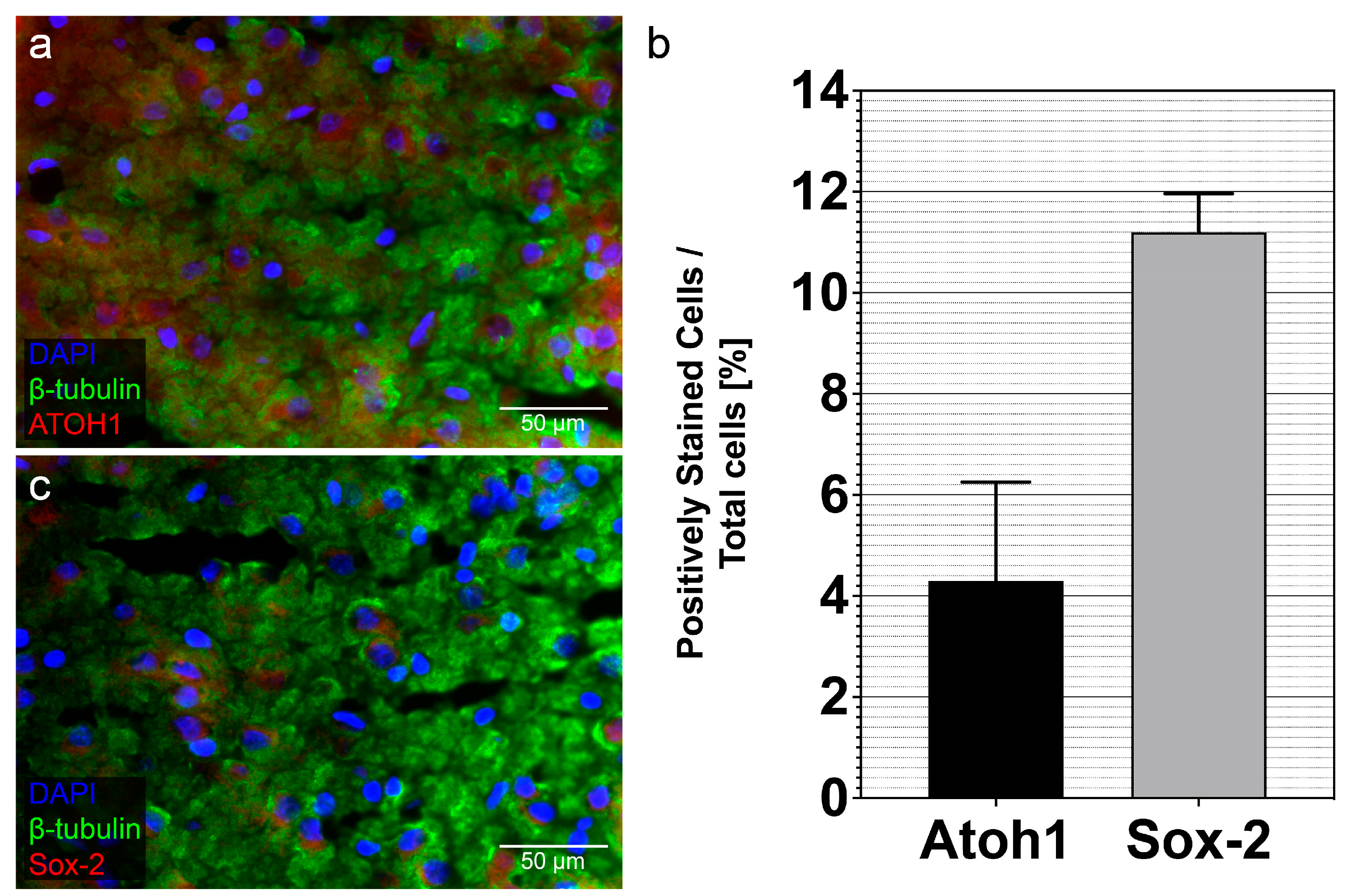 Life 13 01188 g005 Life 13 01188 g005