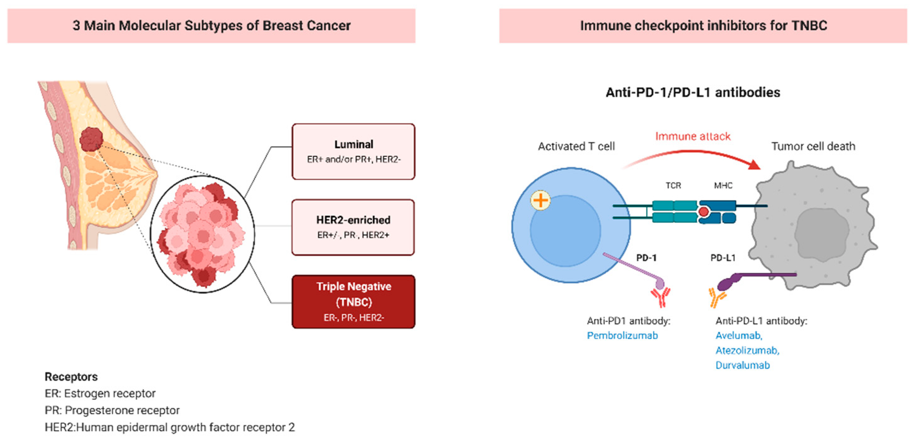 Life Free Full Text Progress And Challenges Of Immunotherapy