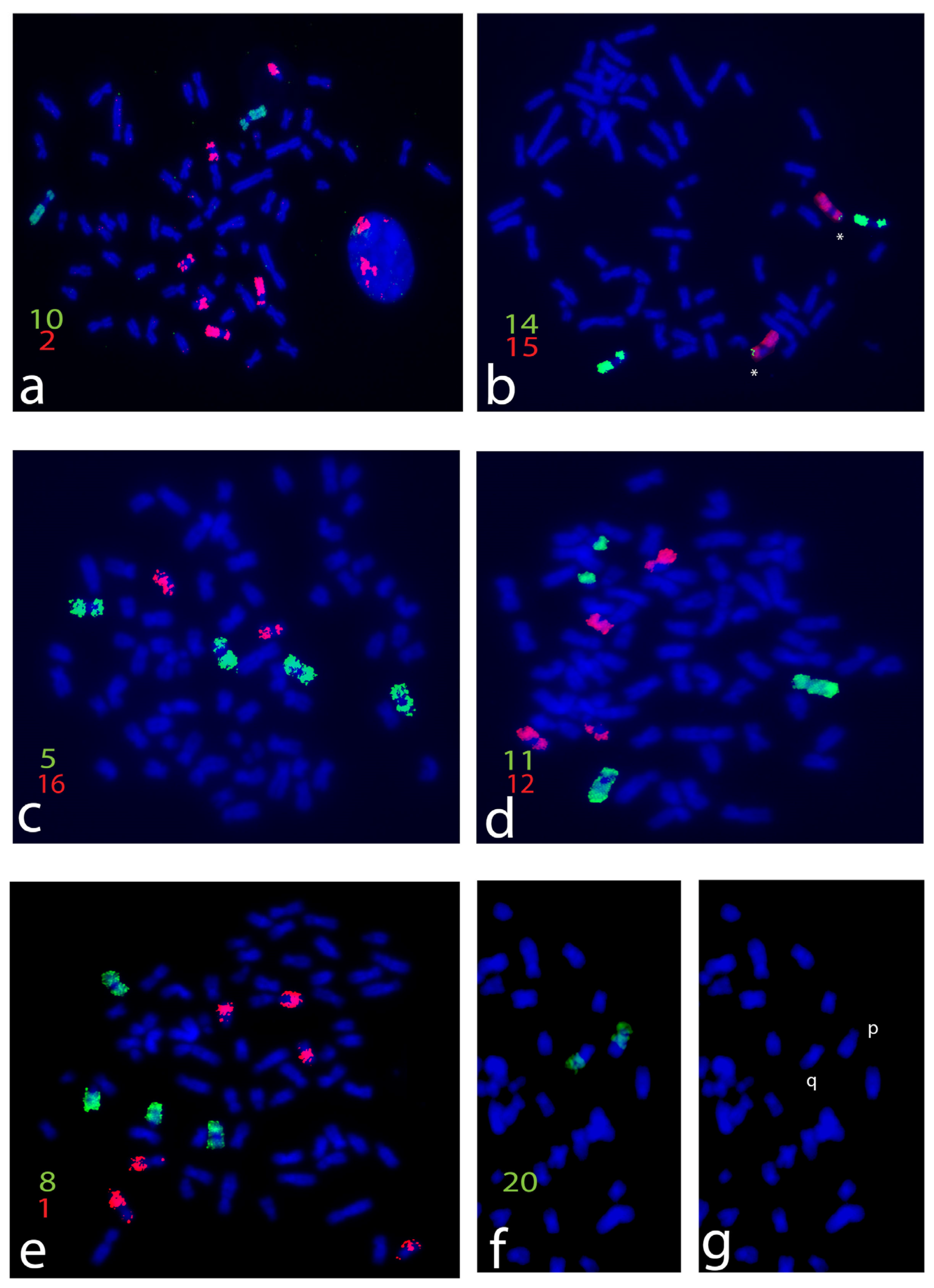 Life 13 01203 g001 Life 13 01203 g001