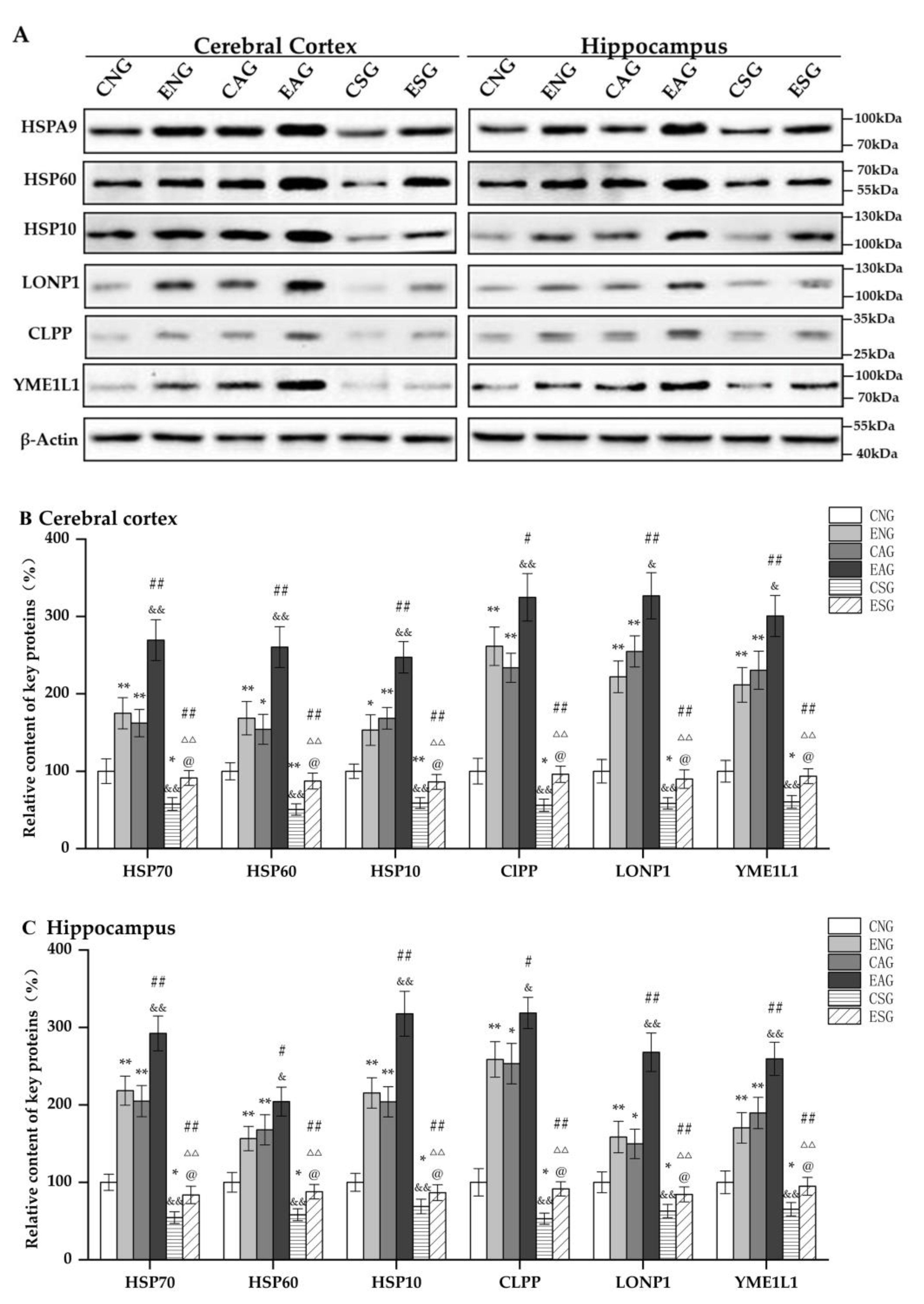 Life 13 01204 g004 Life 13 01204 g004
