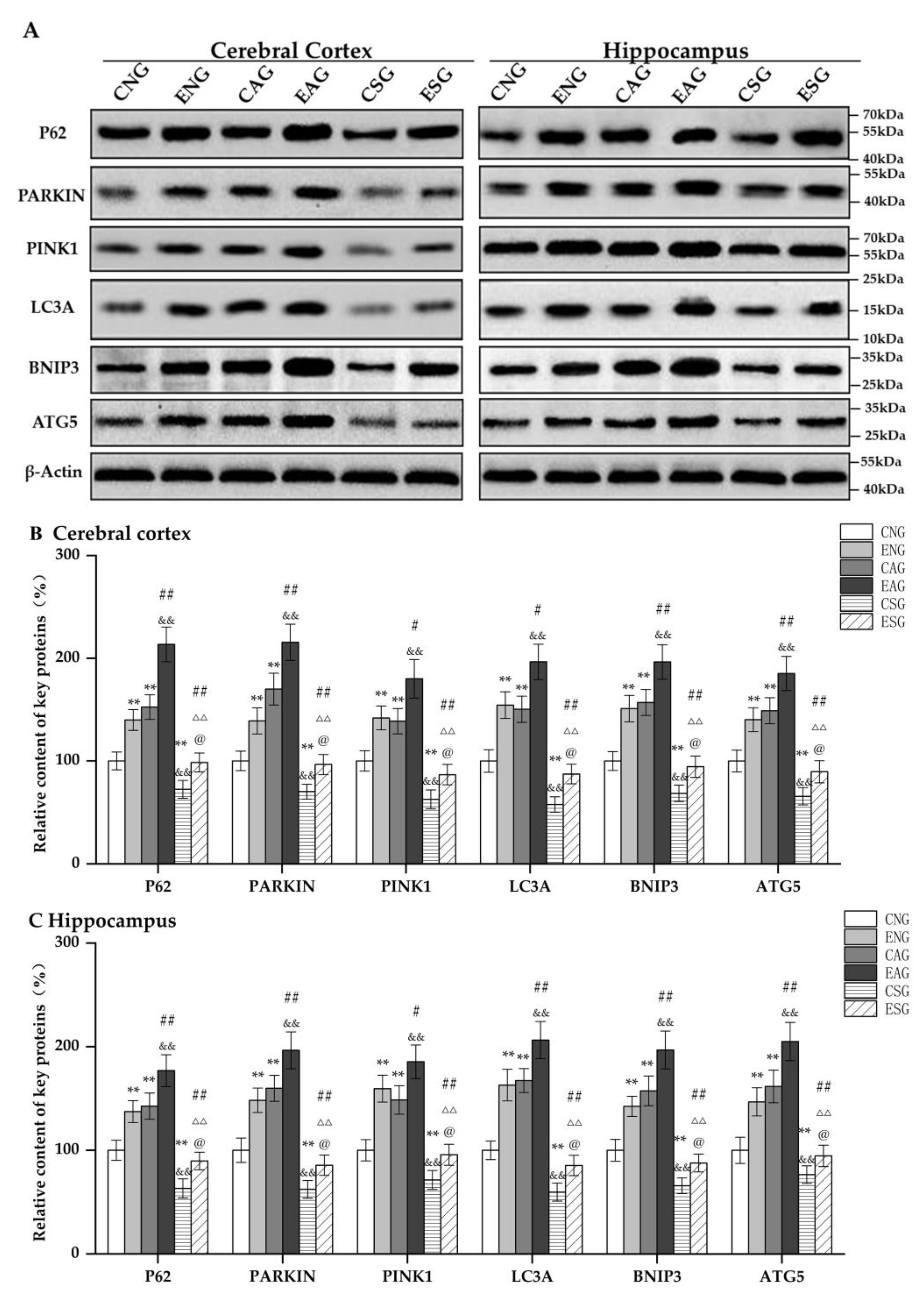 Life 13 01204 g006 Life 13 01204 g006