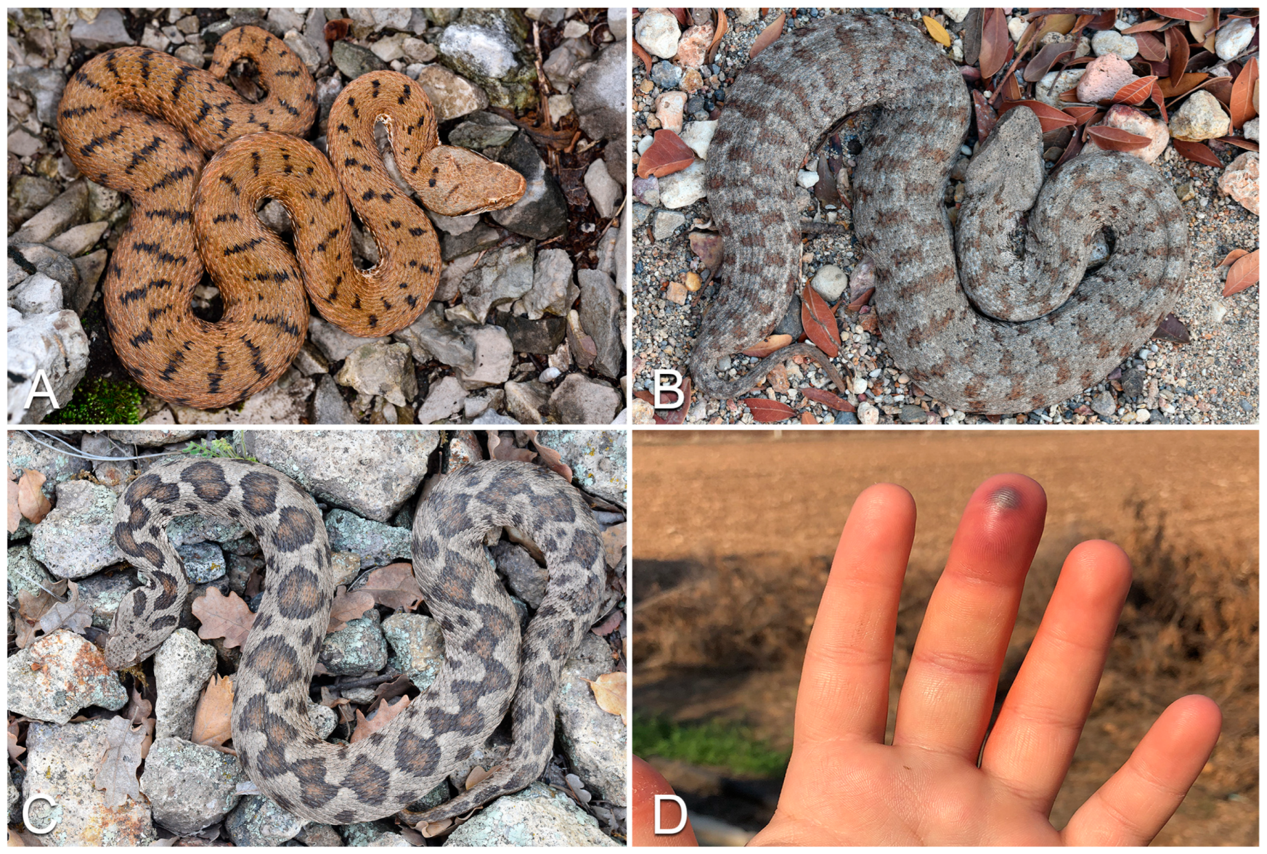 Life 13 01228 g002 Life 13 01228 g002