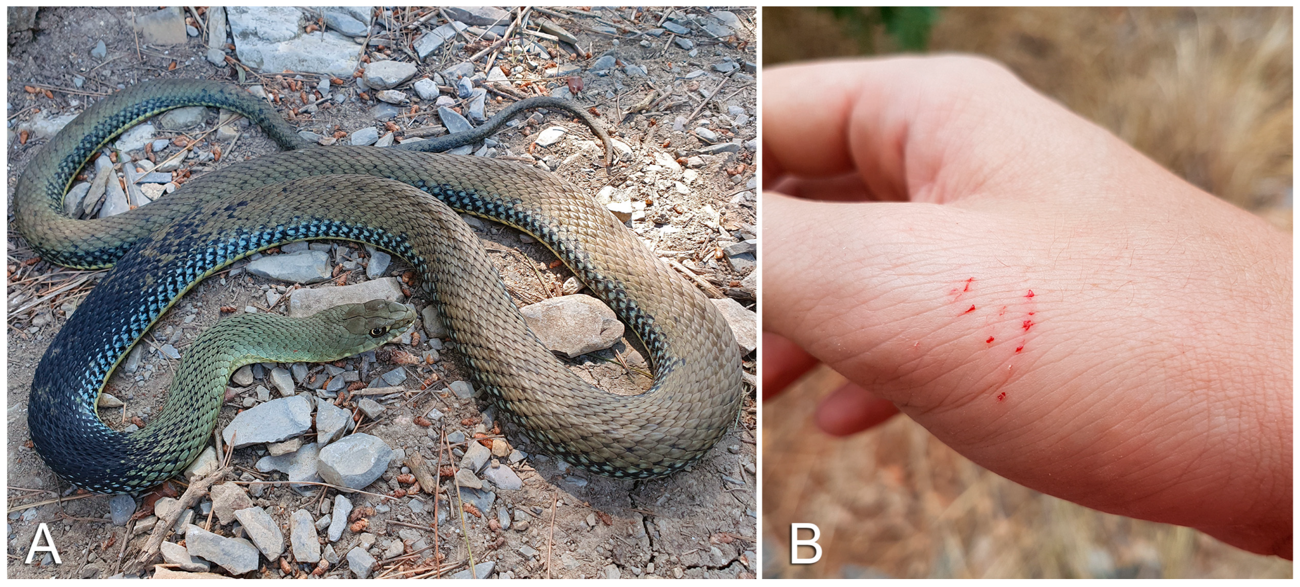 Life 13 01228 g003 Life 13 01228 g003