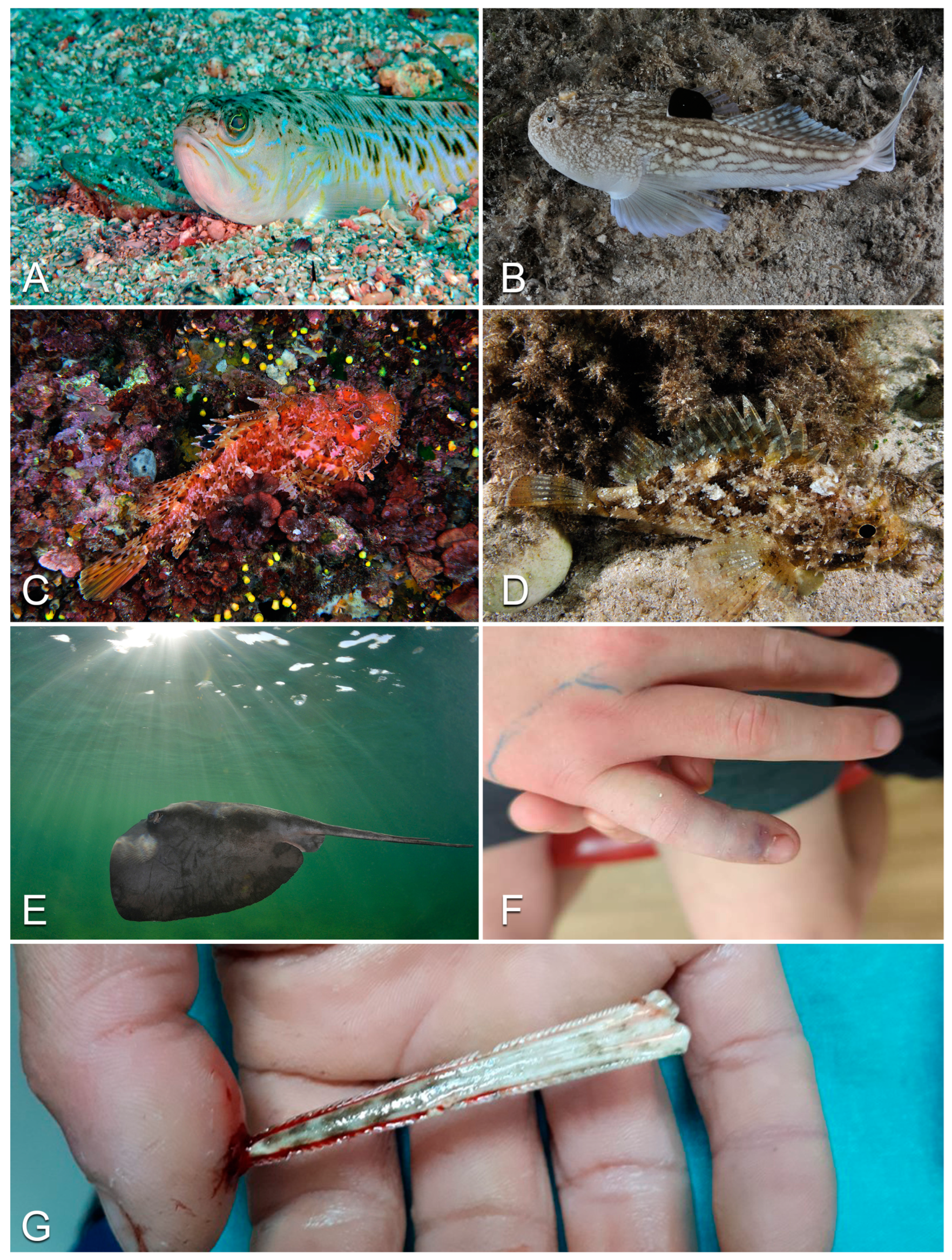 Life 13 01228 g004 Life 13 01228 g004