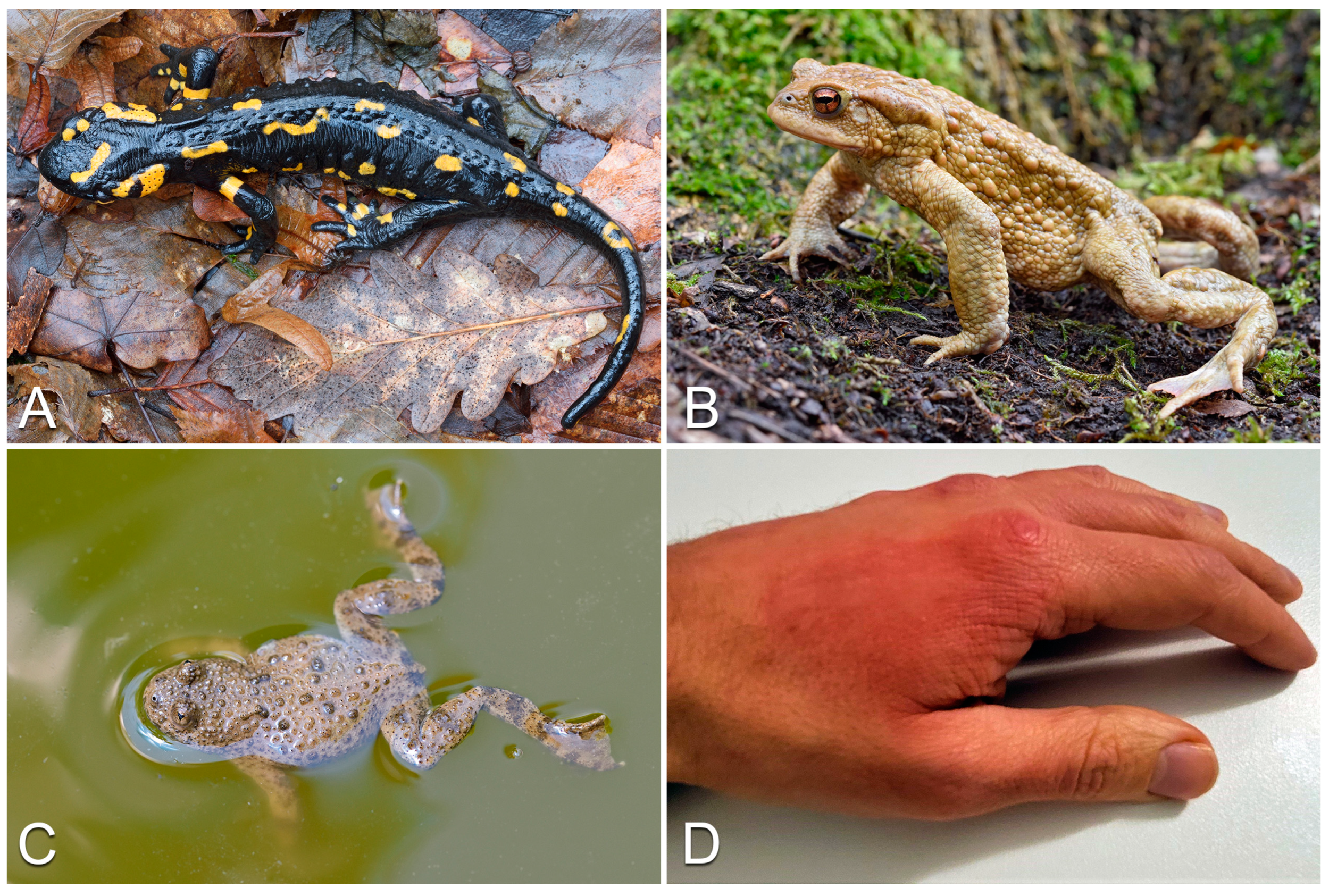 Life 13 01228 g005 Life 13 01228 g005