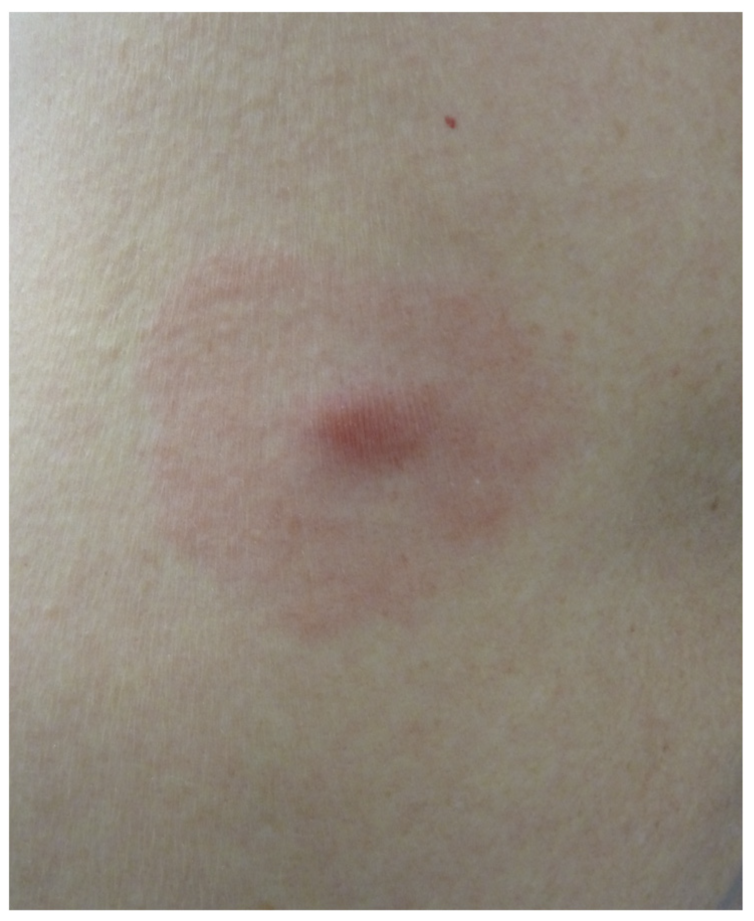 Life 13 01245 g005 Life 13 01245 g005