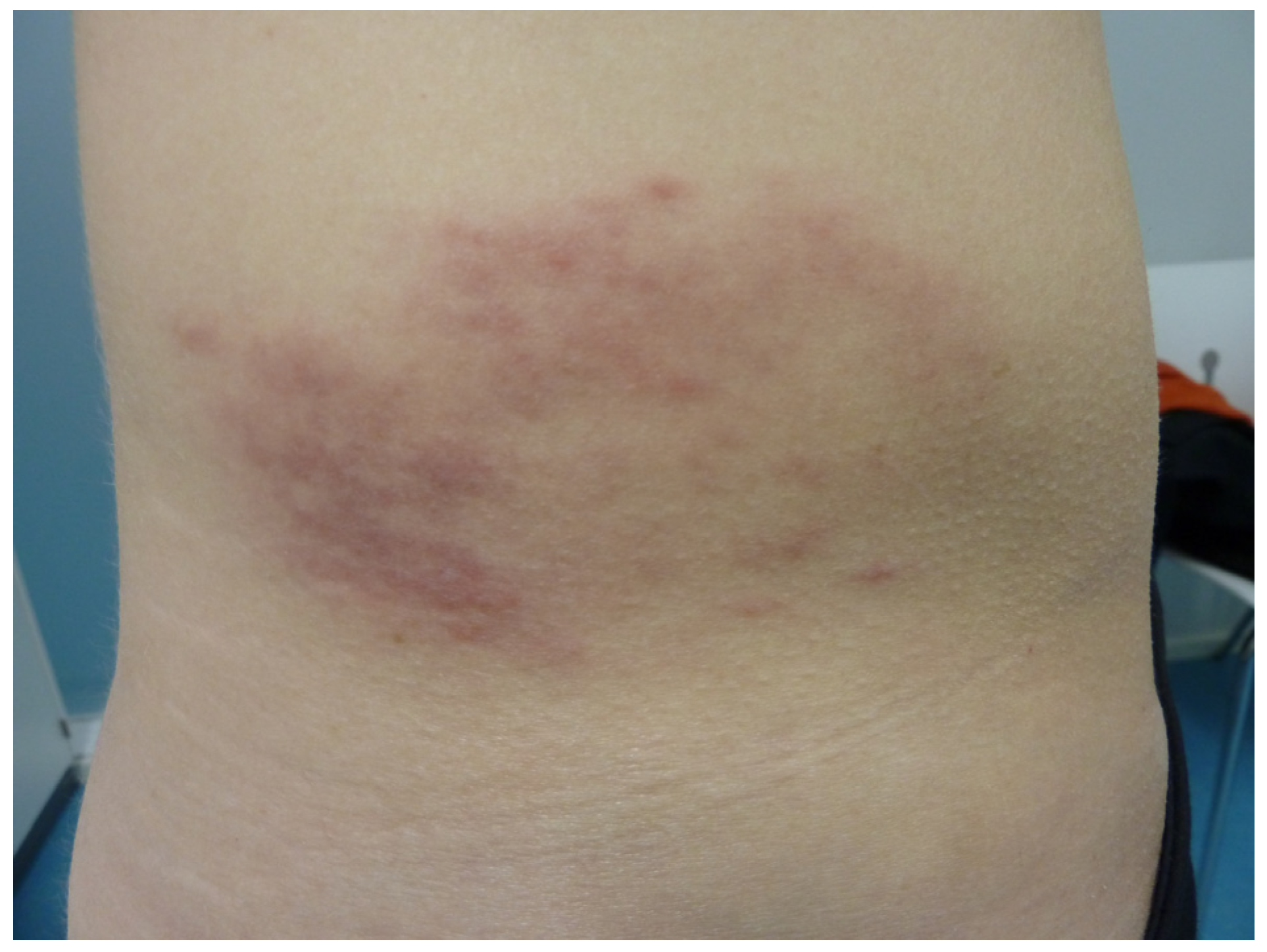 Life 13 01245 g006 Life 13 01245 g006