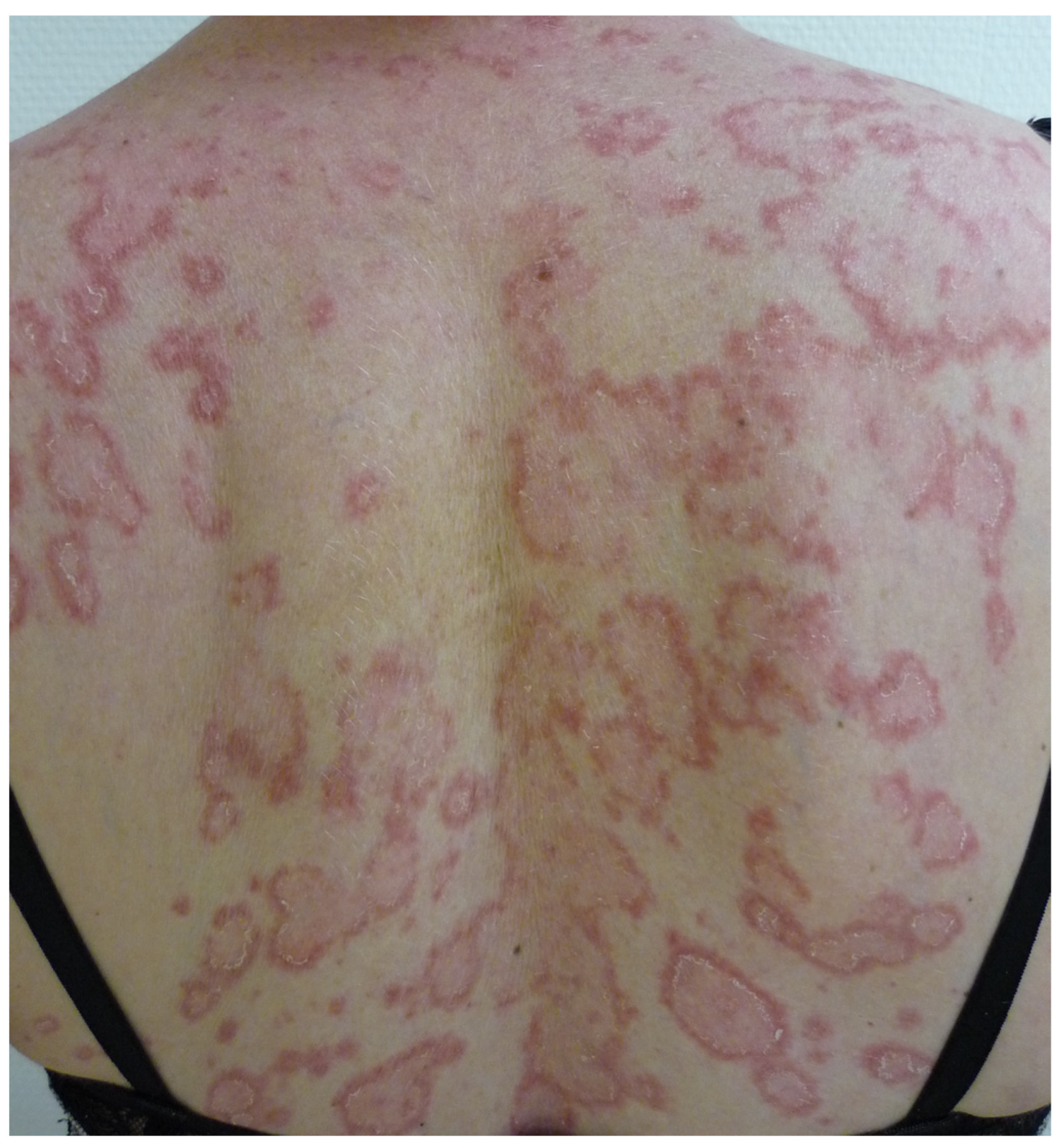 Life 13 01245 g008 Life 13 01245 g008