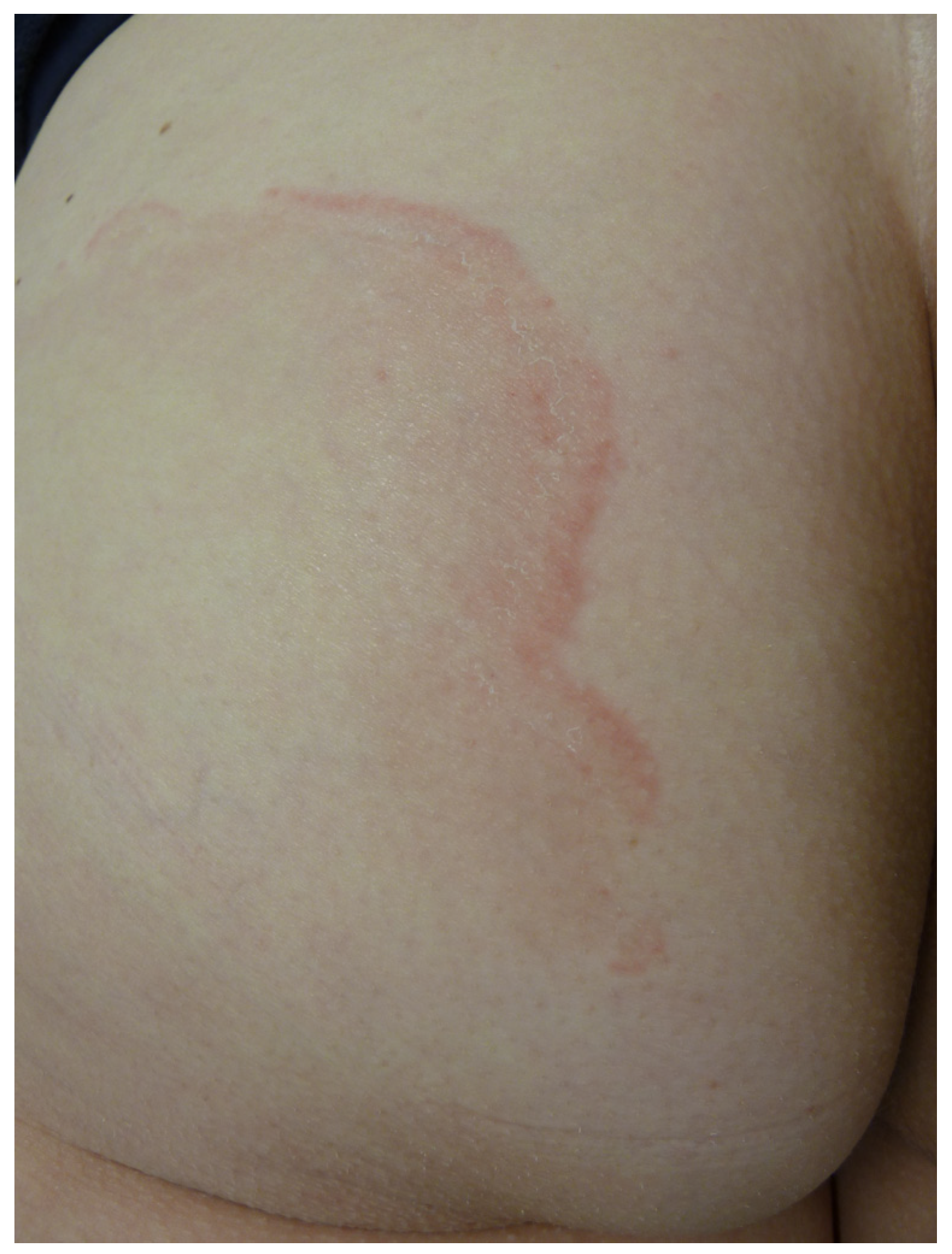 Life 13 01245 g009 Life 13 01245 g009