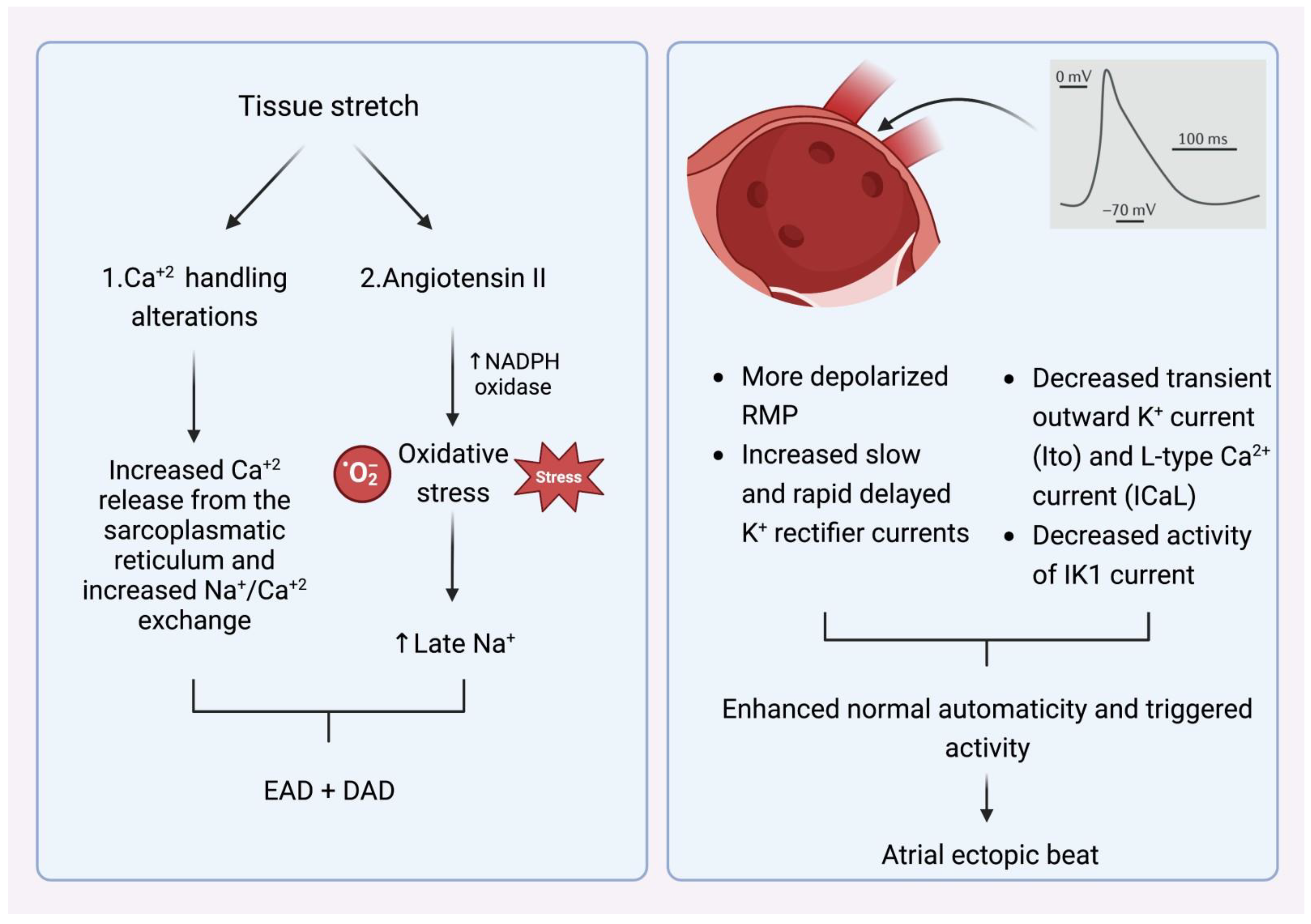 Can A Tens Unit Cause Atrial Fibrillation - admio41