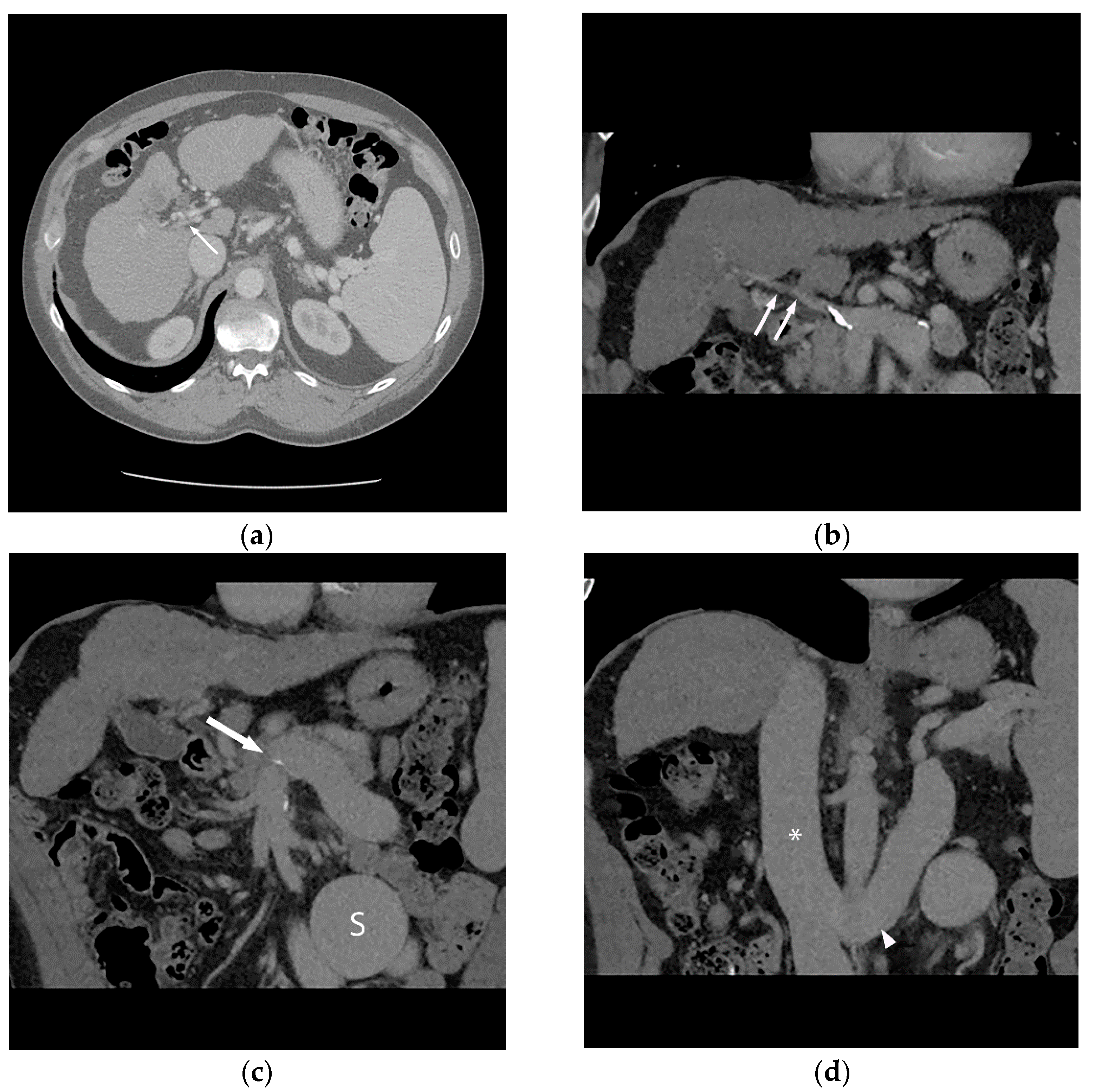 Life 13 01262 g001 Life 13 01262 g001