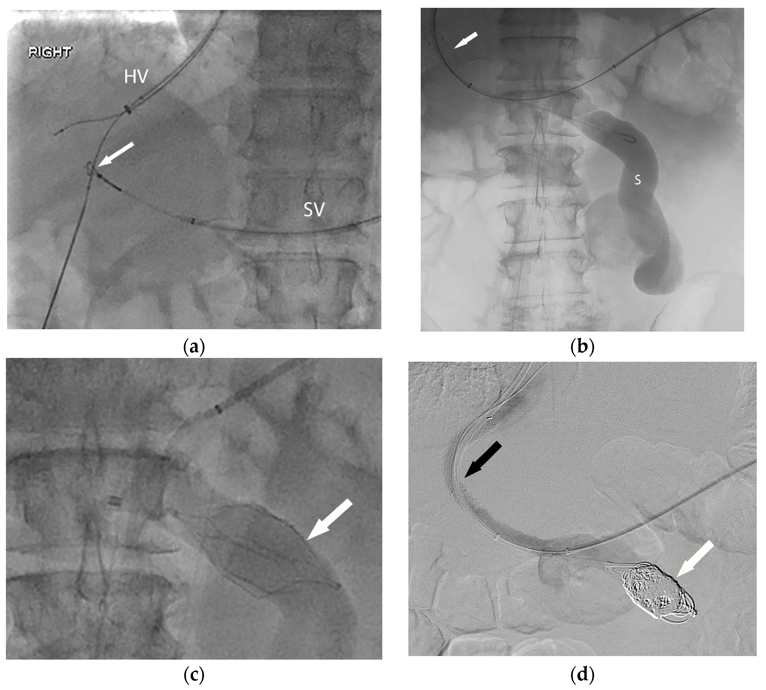 Life 13 01262 g002 Life 13 01262 g002