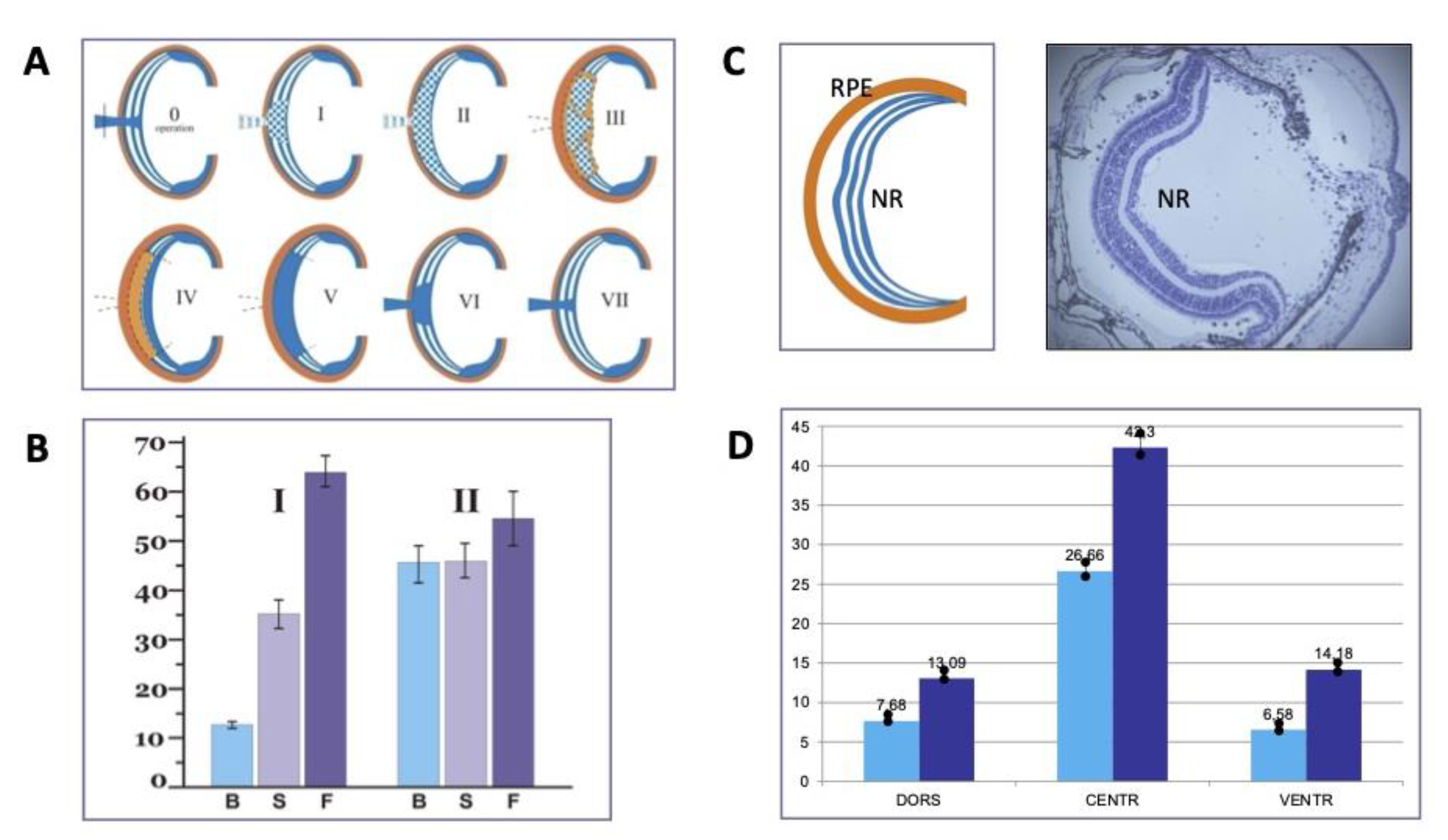 Life 13 01263 g003 Life 13 01263 g003