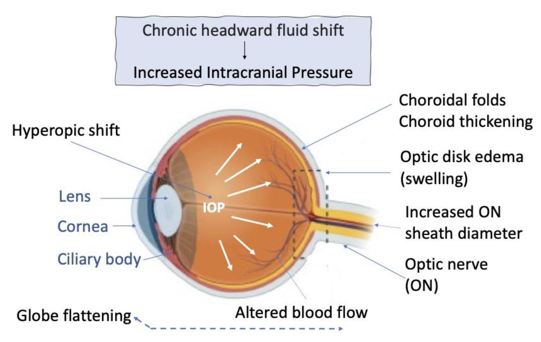Life 13 01263 g006 Life 13 01263 g006