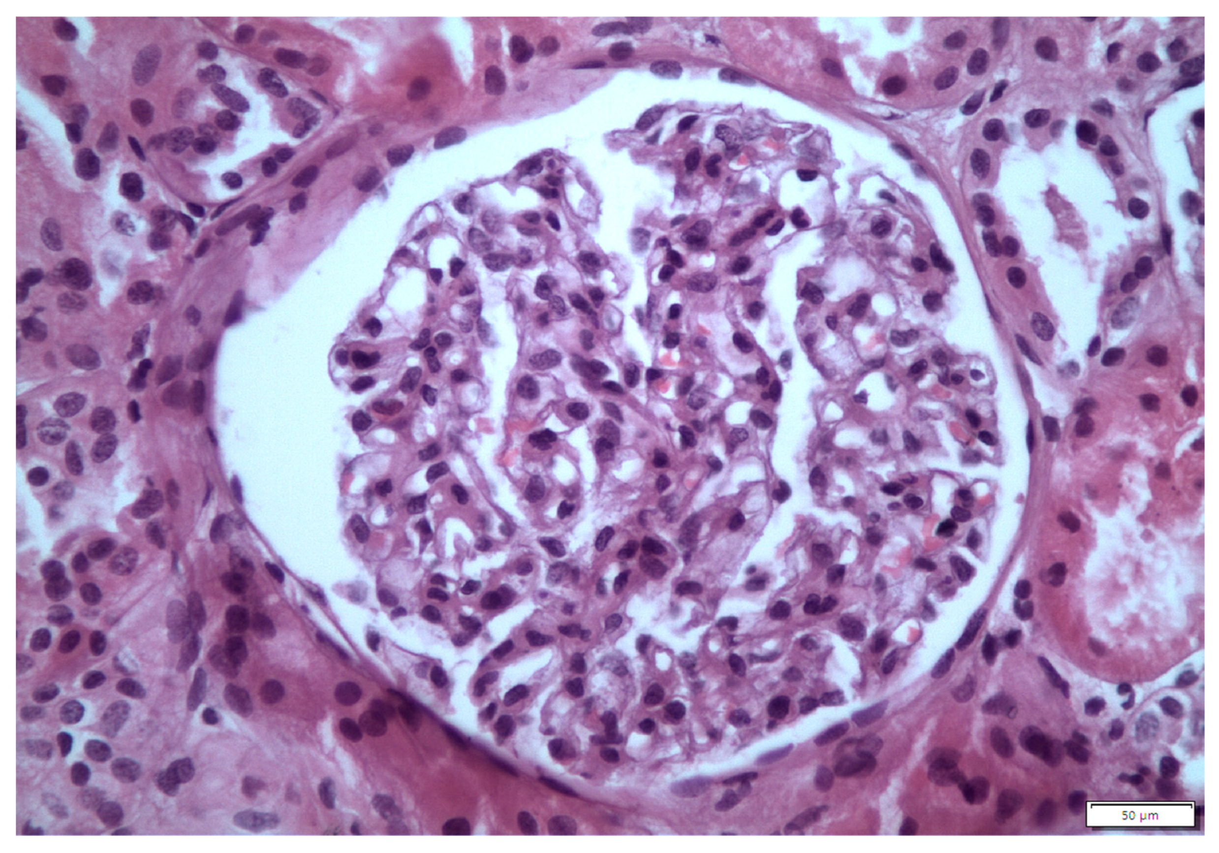 Life 13 01264 g001 Life 13 01264 g001