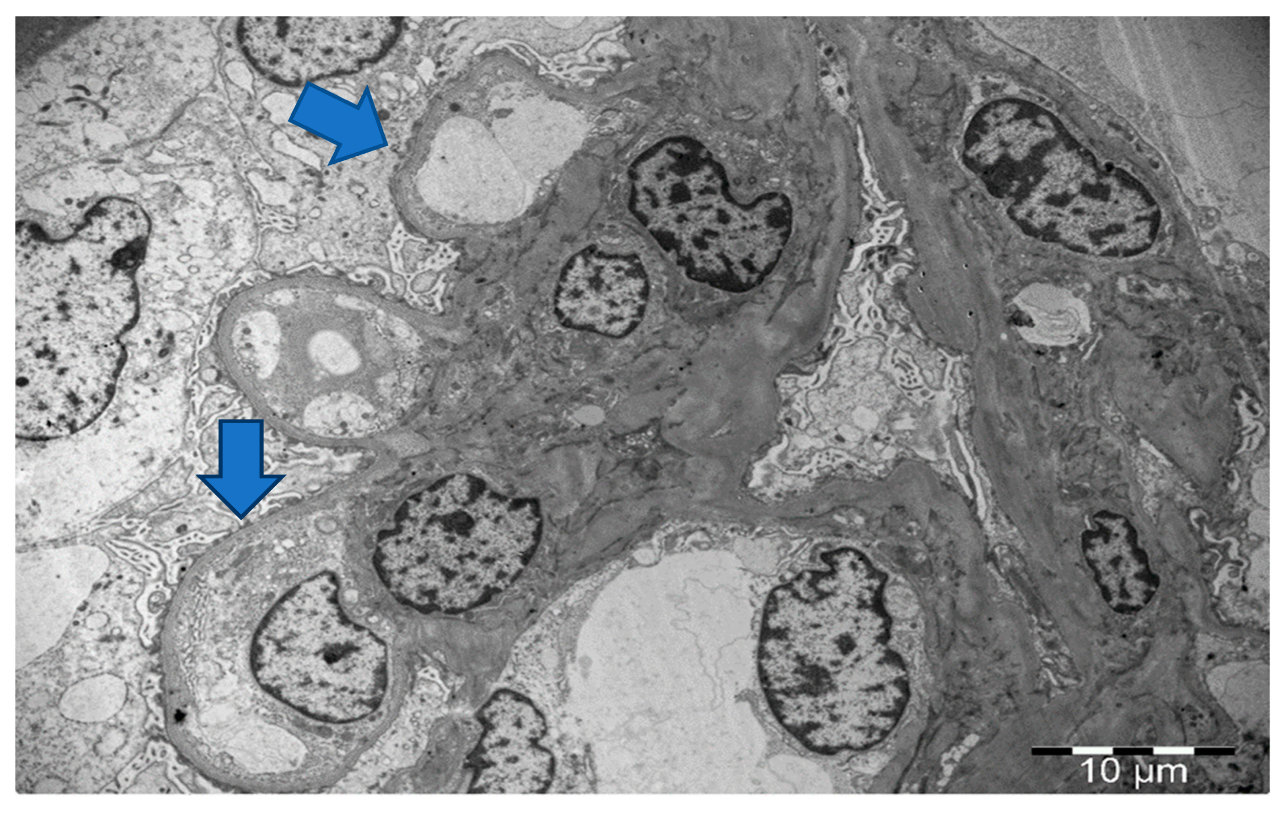 Life 13 01264 g002 Life 13 01264 g002