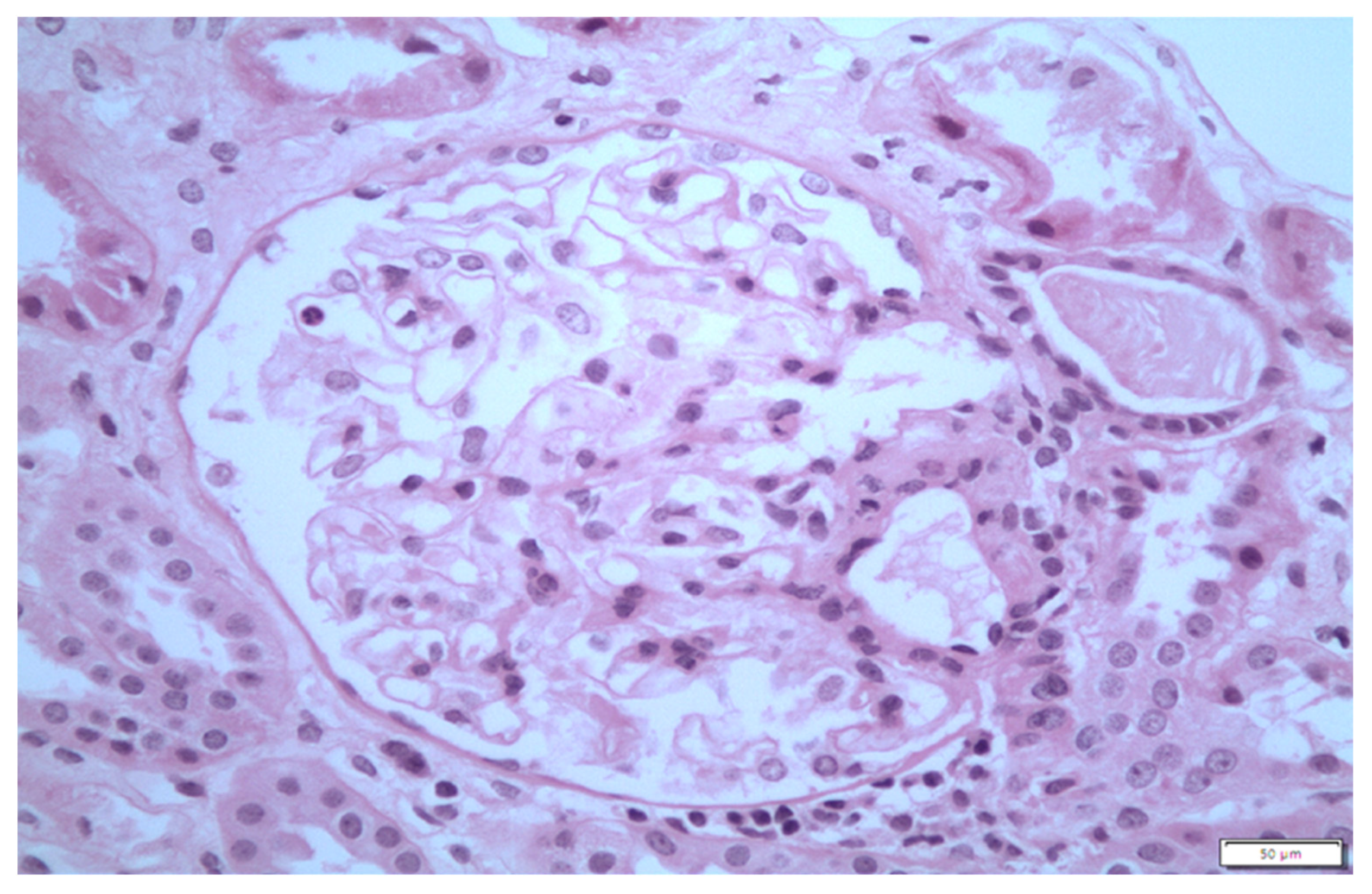 Life 13 01264 g003 Life 13 01264 g003