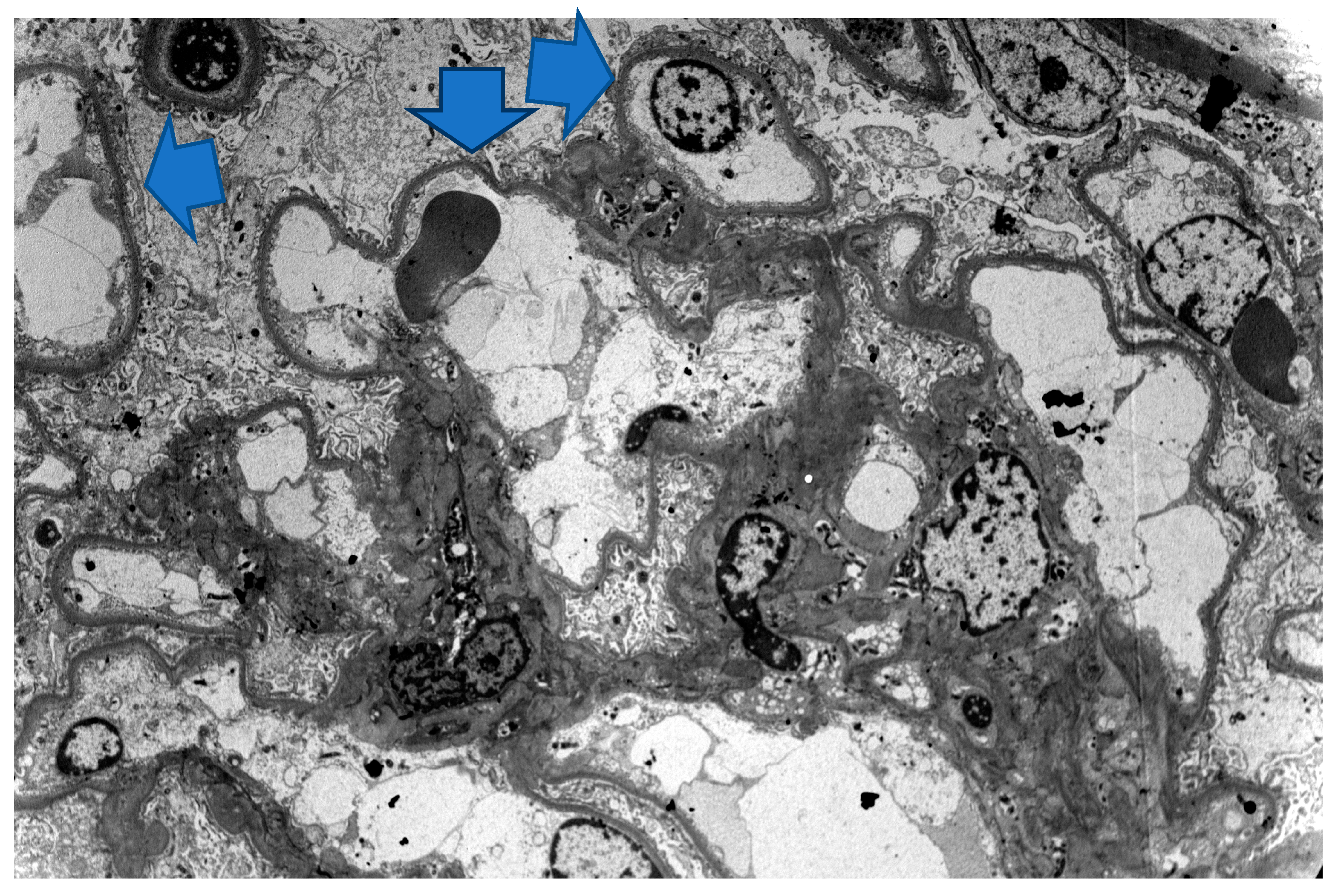 Life 13 01264 g004 Life 13 01264 g004