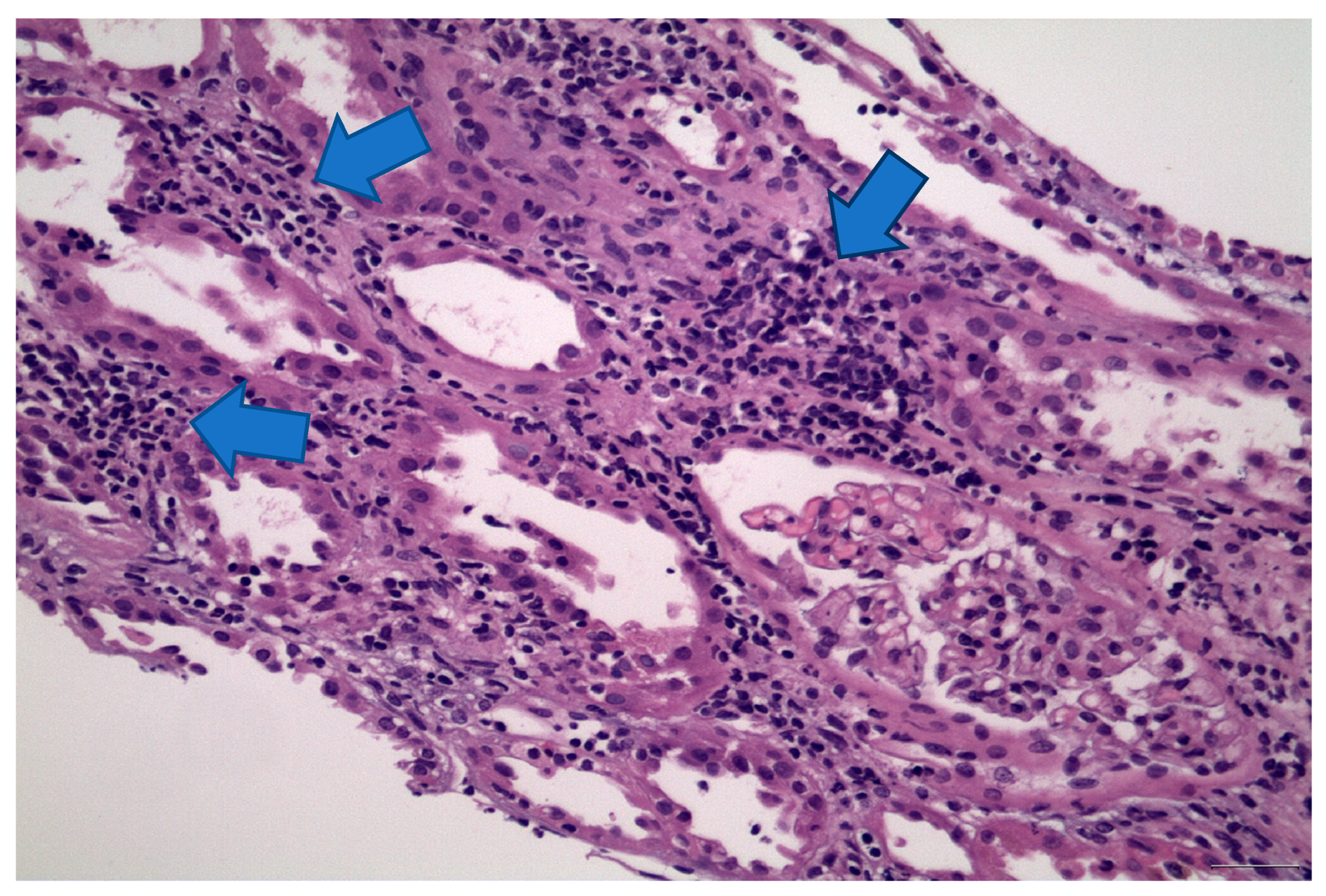 Life 13 01264 g005 Life 13 01264 g005