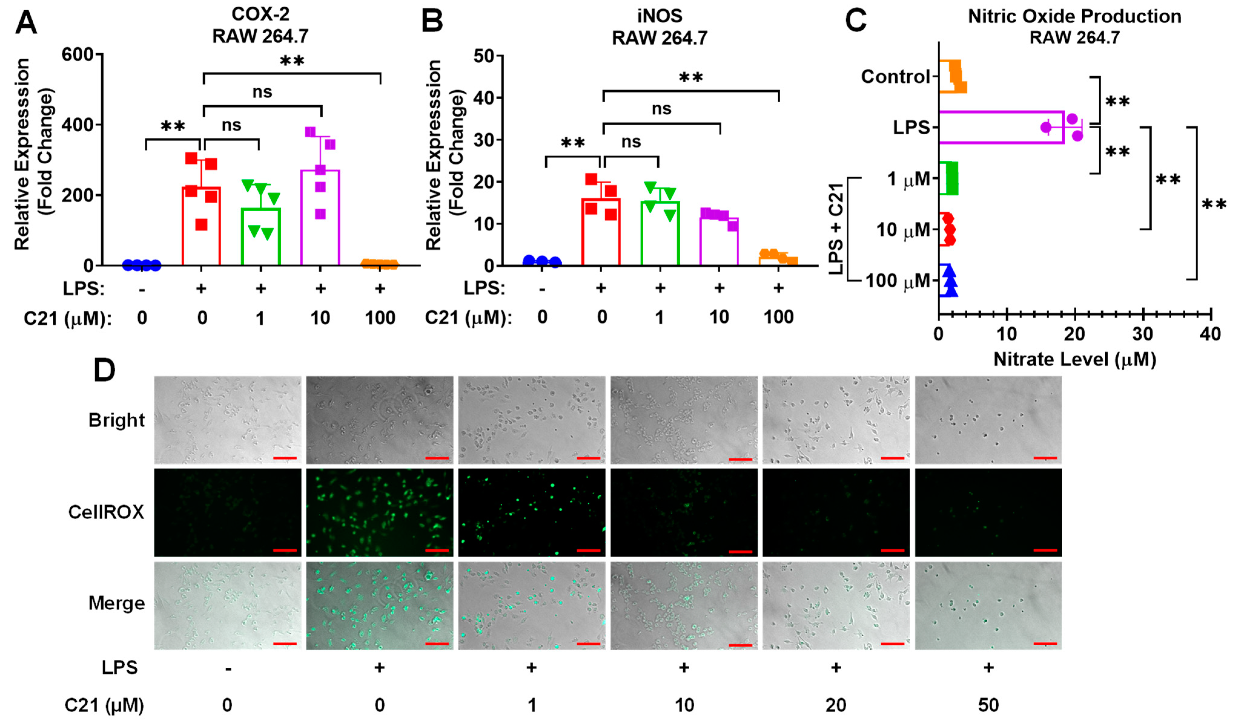 Life 13 01274 g005 Life 13 01274 g005