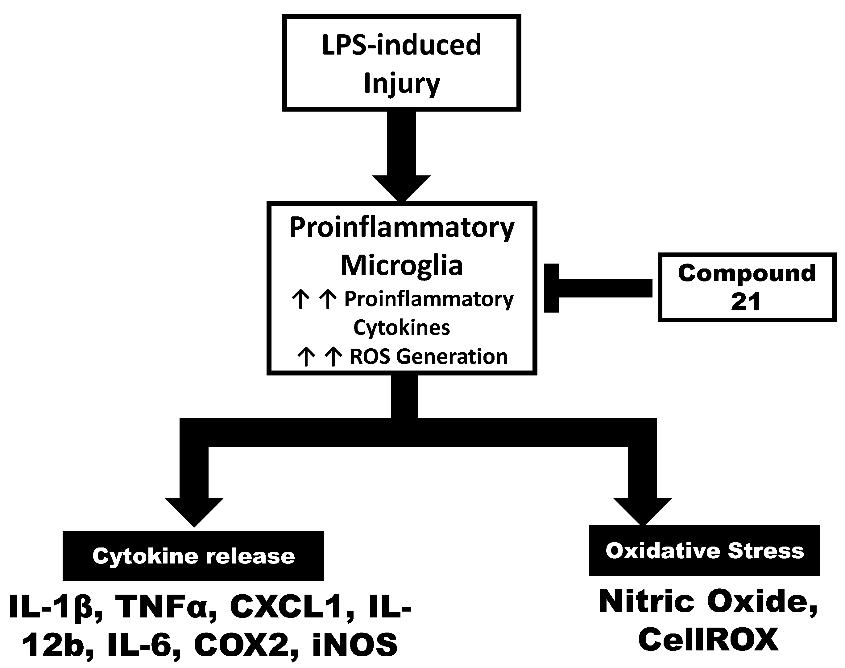 Life 13 01274 g007 Life 13 01274 g007