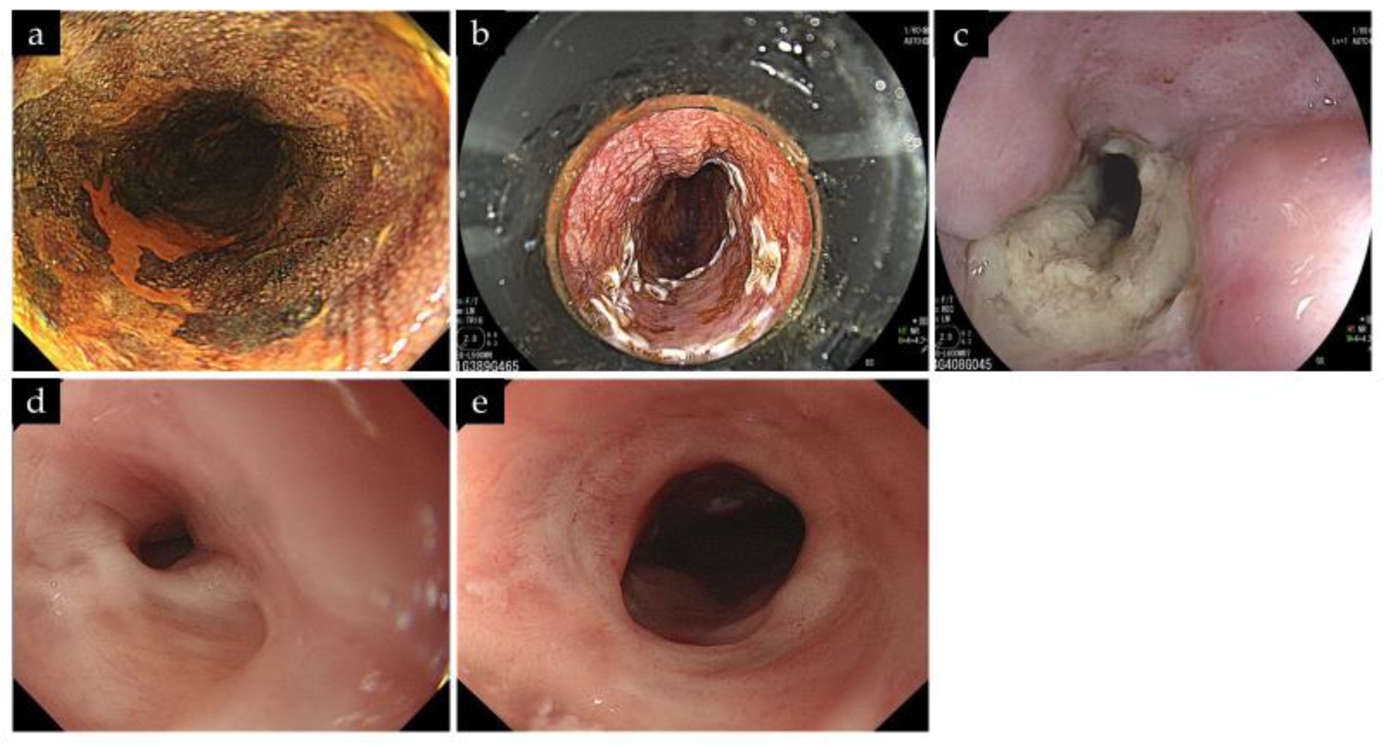 Life 13 01276 g004 Life 13 01276 g004