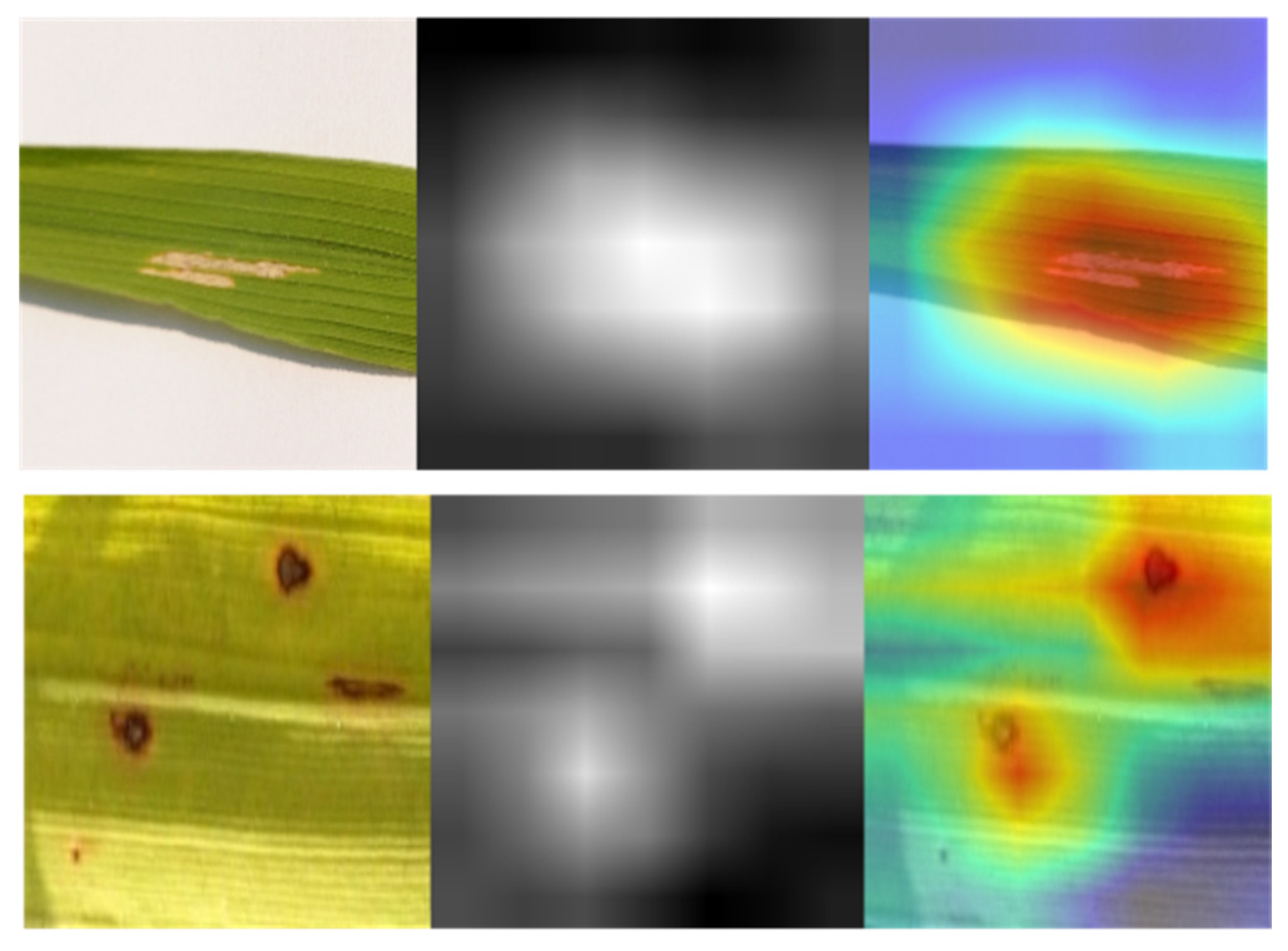 Life 13 01277 g007 Life 13 01277 g007