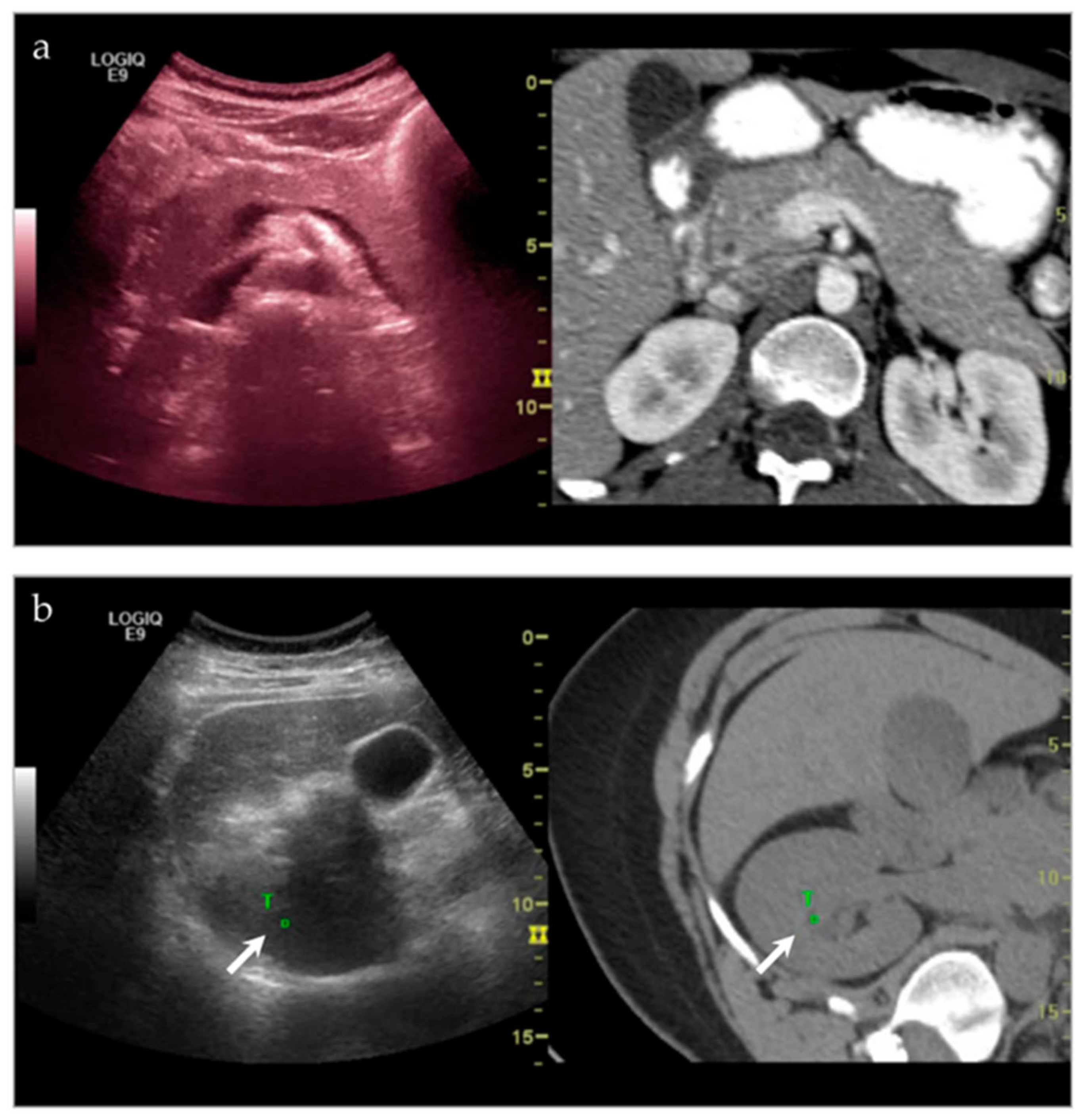 Life 13 01278 g002 Life 13 01278 g002