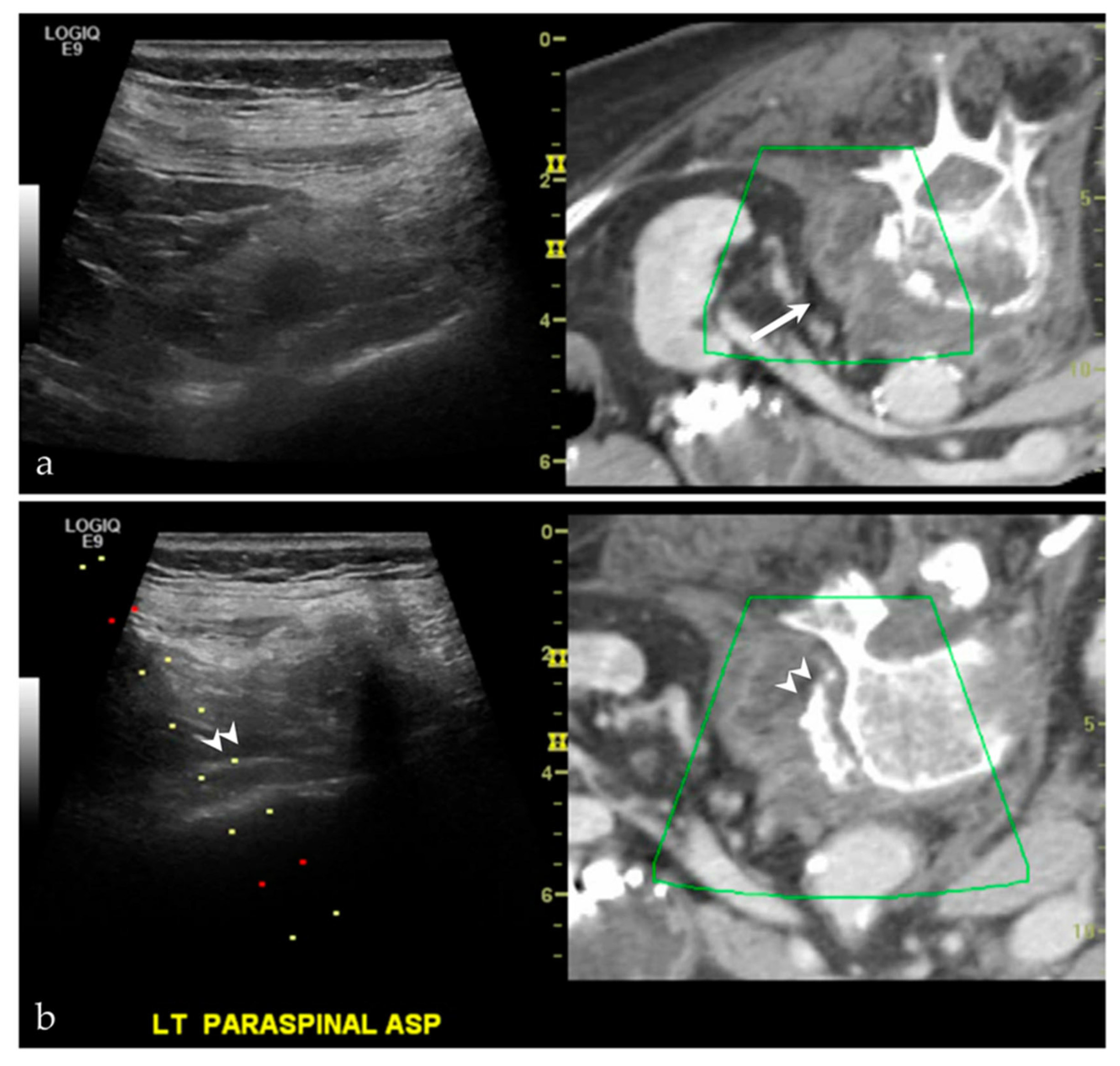 Life 13 01278 g004 Life 13 01278 g004