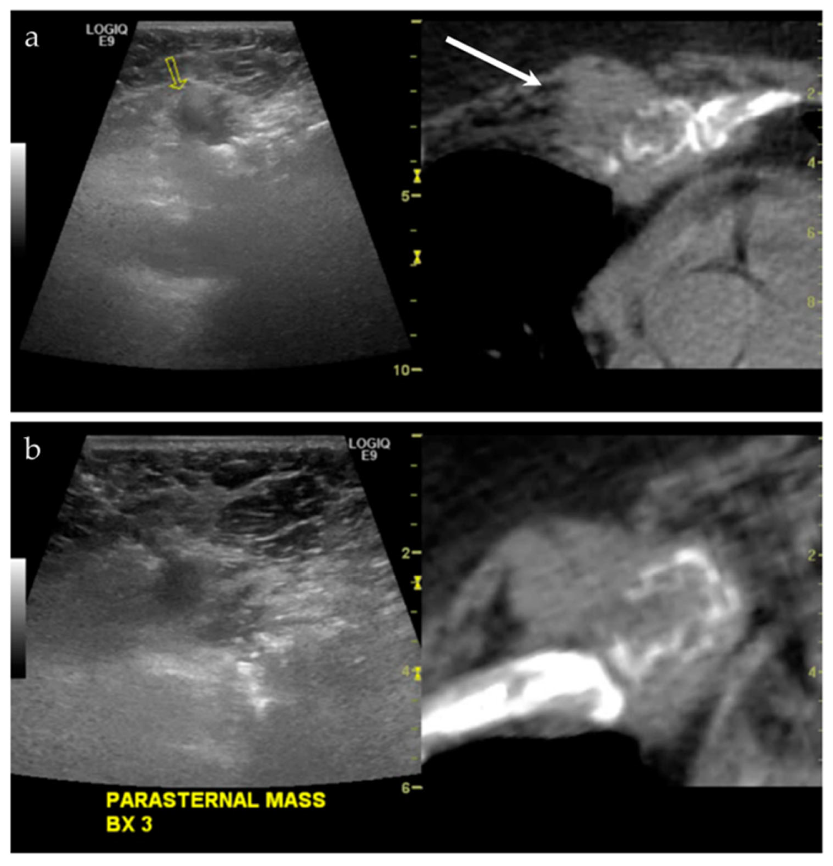 Life 13 01278 g005 Life 13 01278 g005